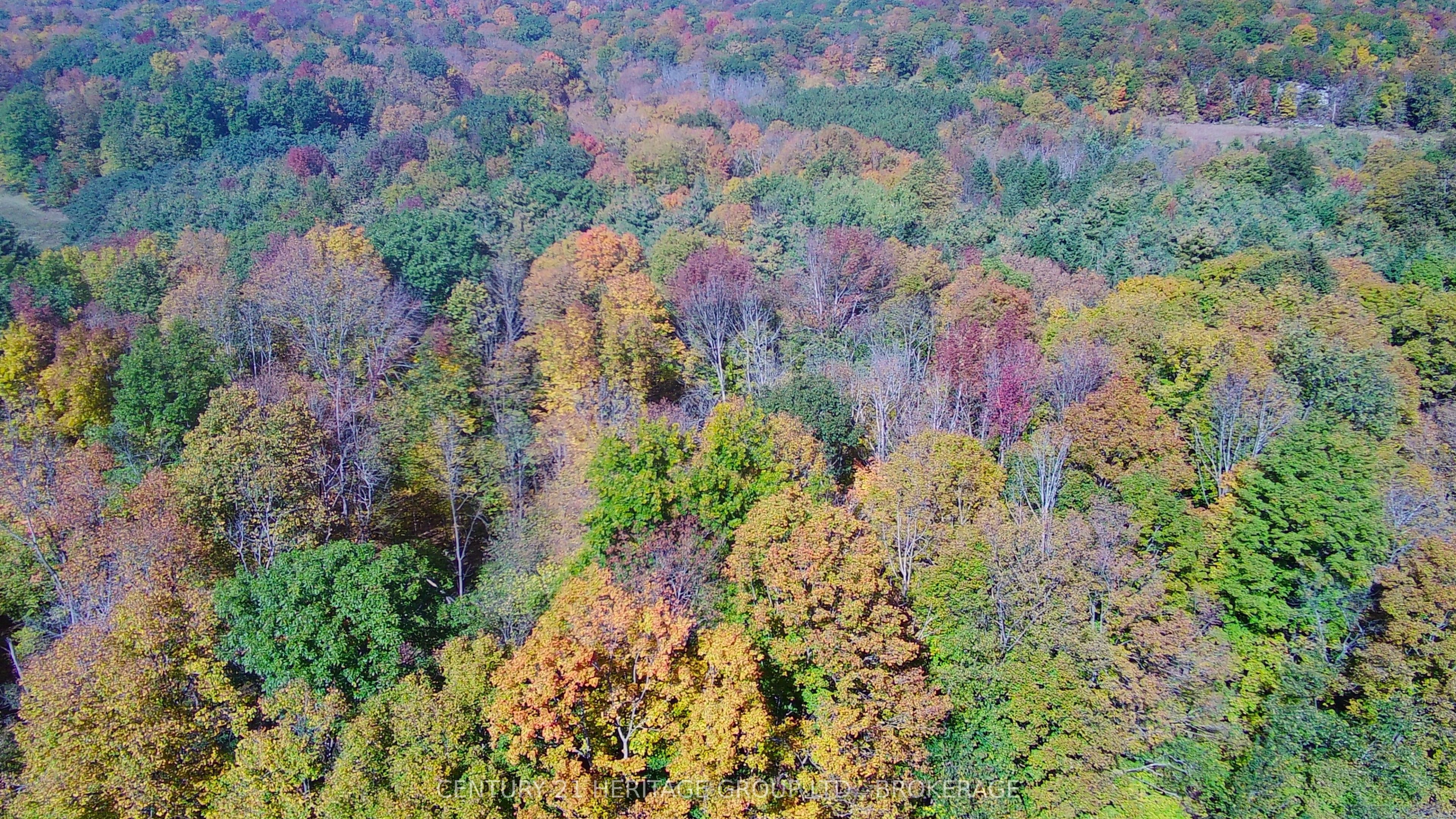 00 Burnt Hills Road Property Photo 44