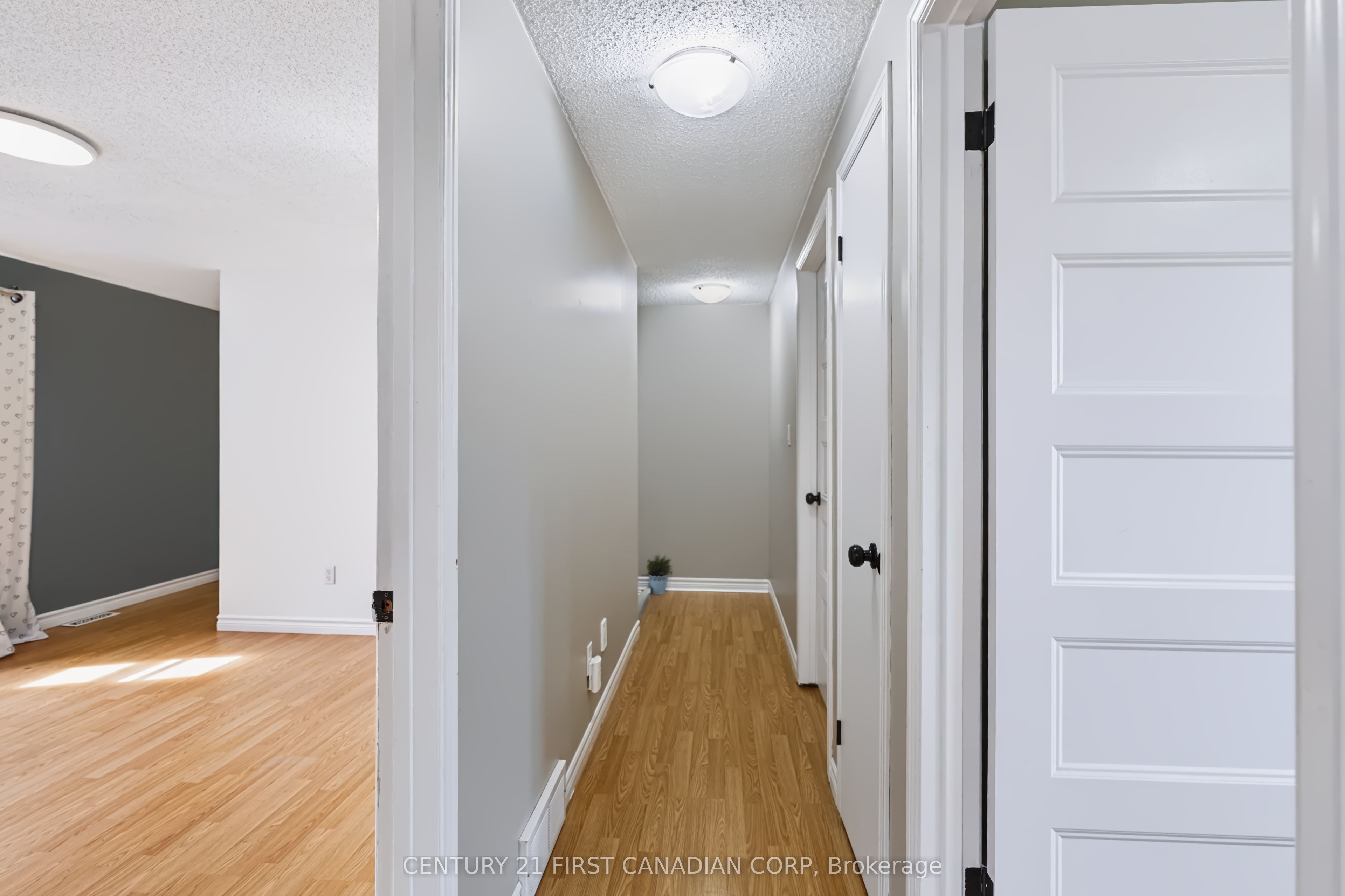 159 Walmer Gardens Property Photo 30