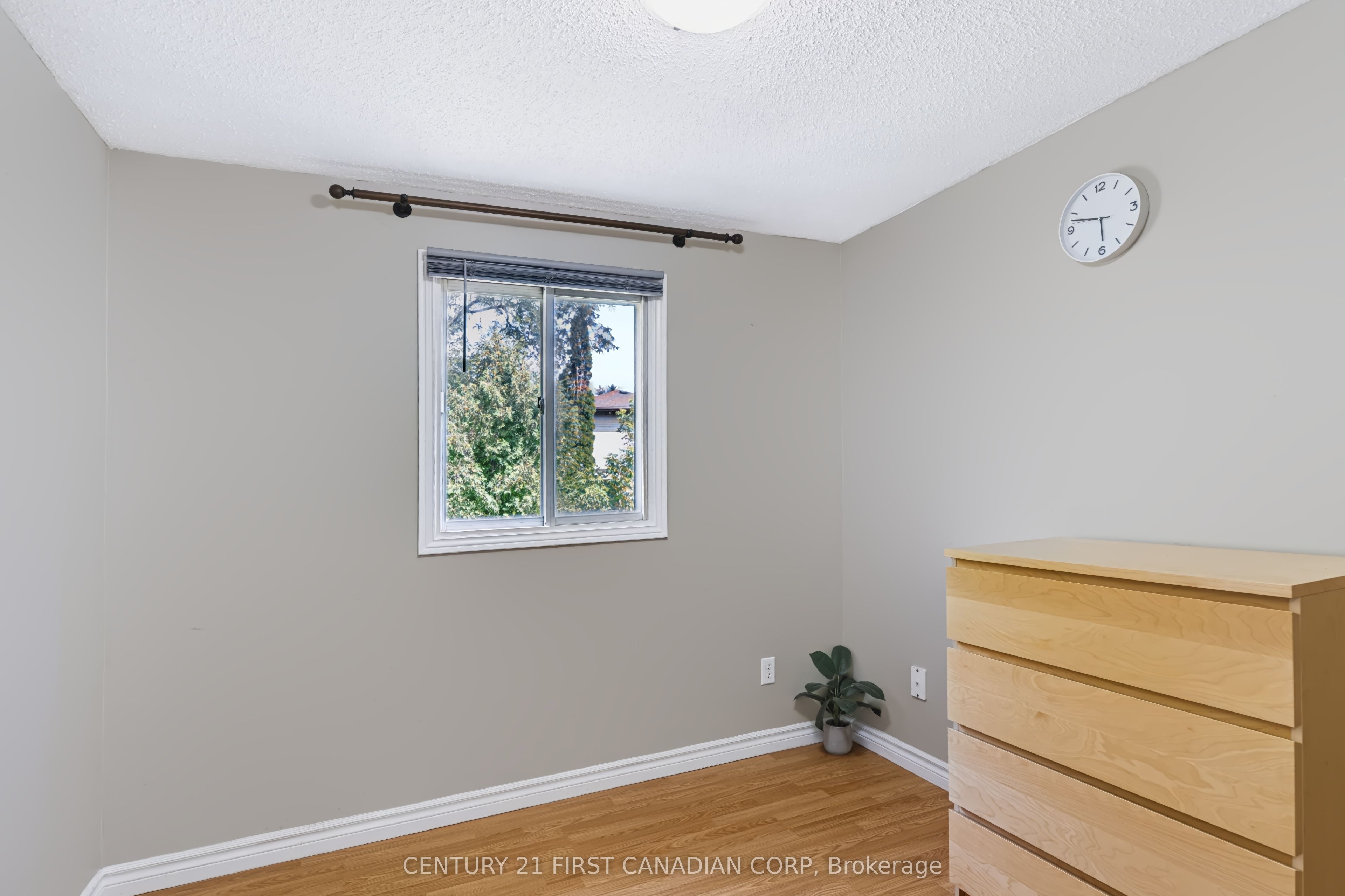 159 Walmer Gardens Property Photo 34