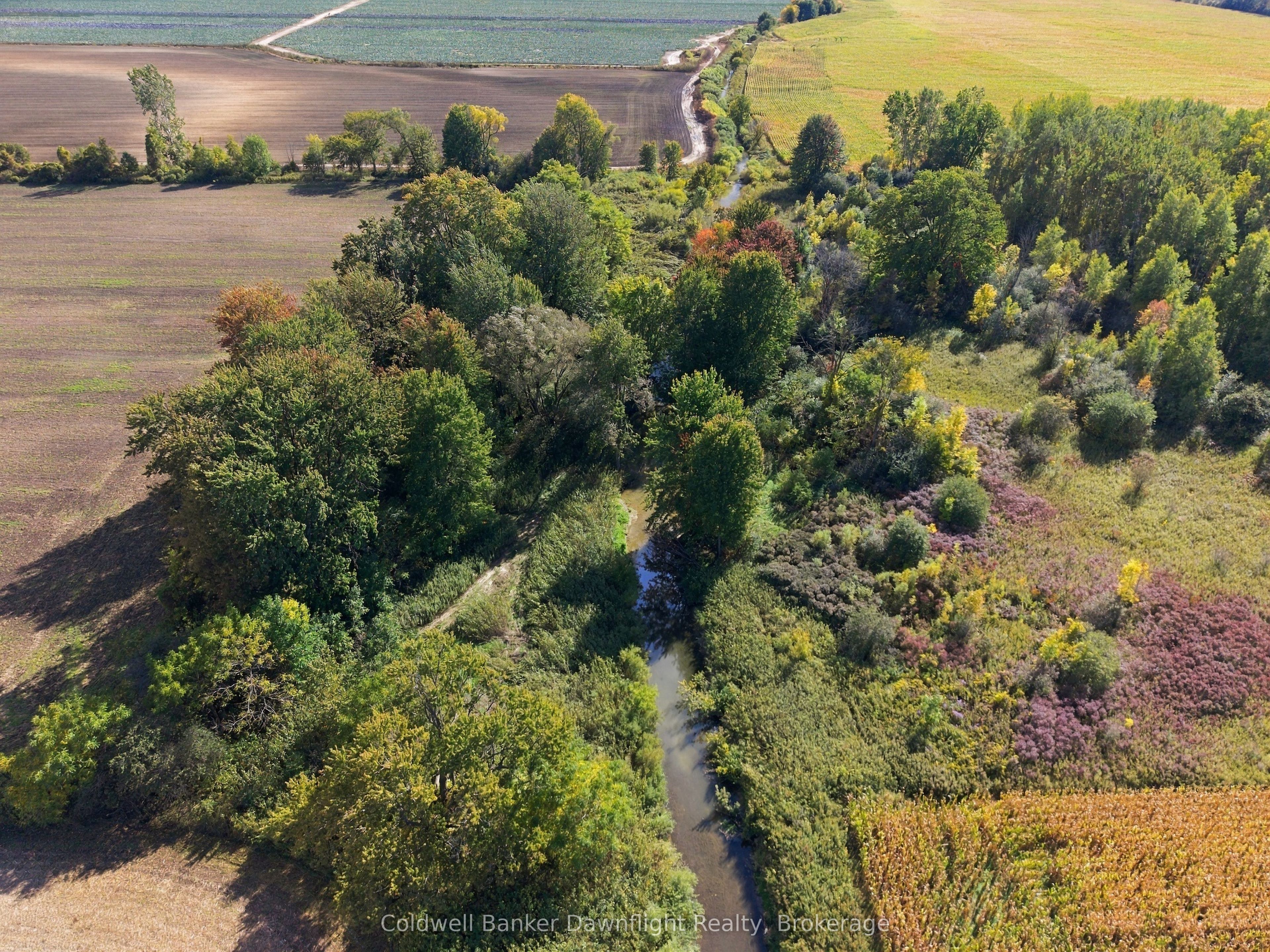 72231 Ausable Line Property Photo 37
