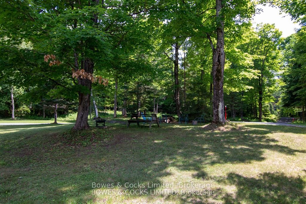 72 Jones Road Property Photo 43