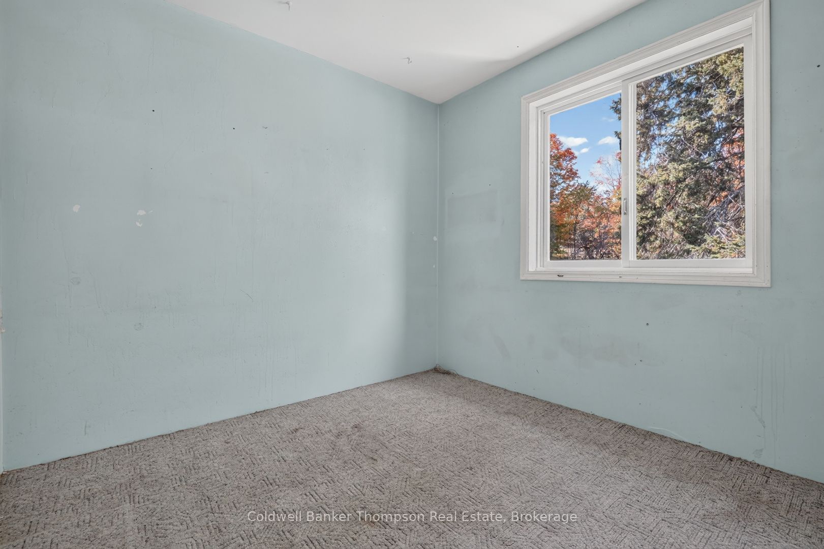 2326 Fraserburg Road Property Photo 28