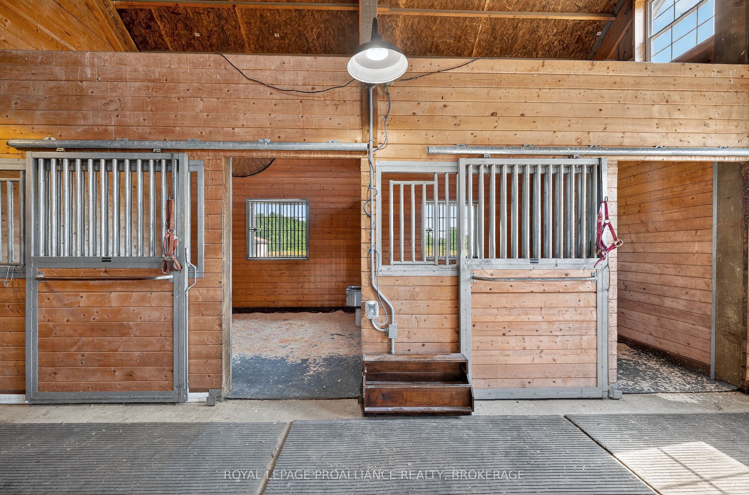 303 Escott Rockport Road Property Photo 45