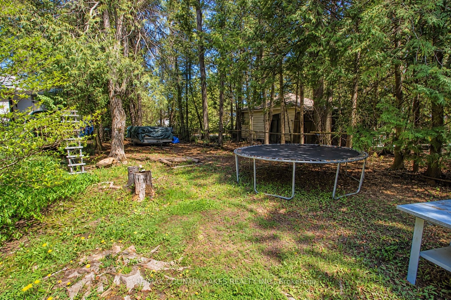 77 Mcguire Beach Road Property Photo 40