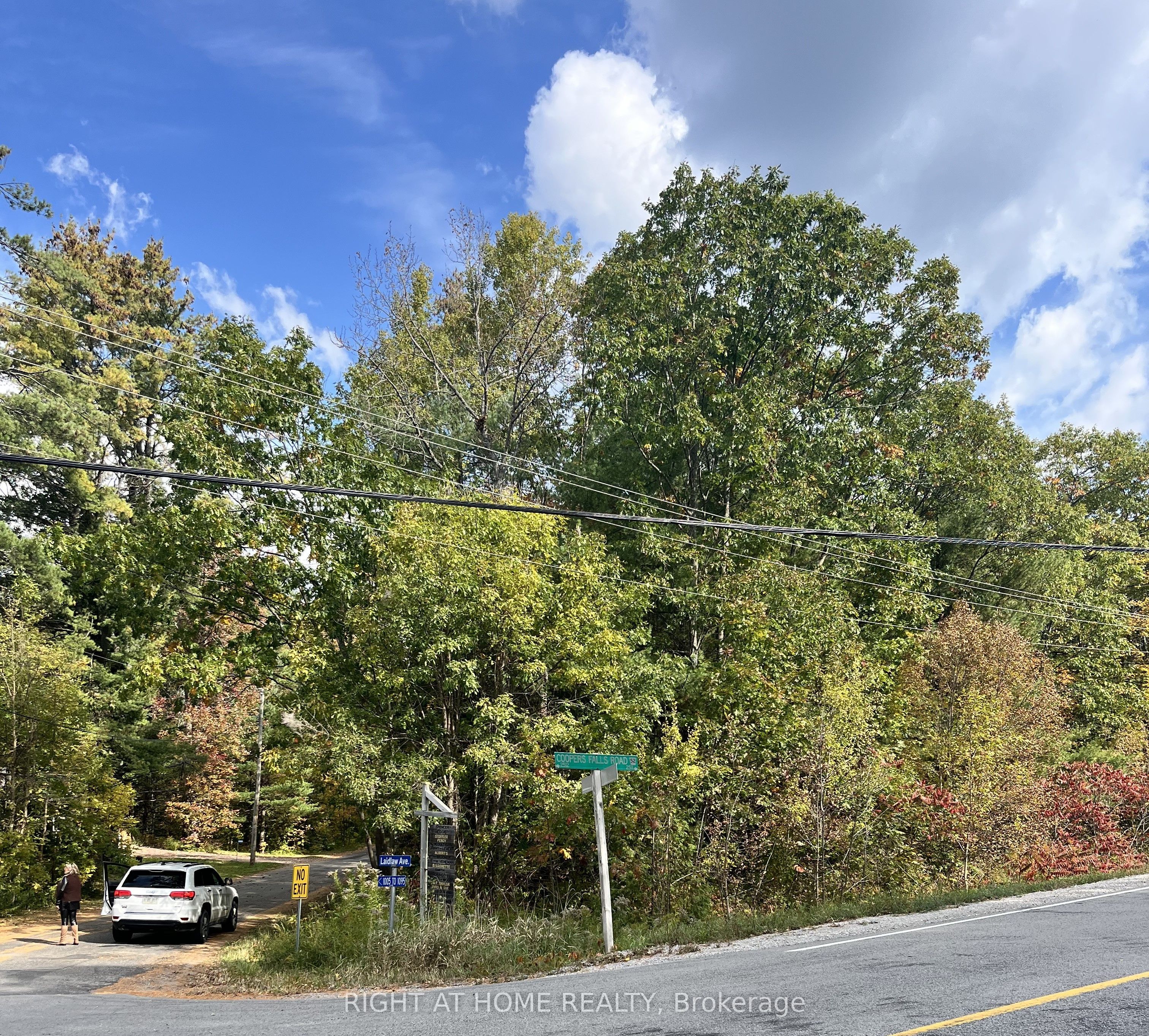 Lt 17 Laidlaw Avenue Property Photo 15