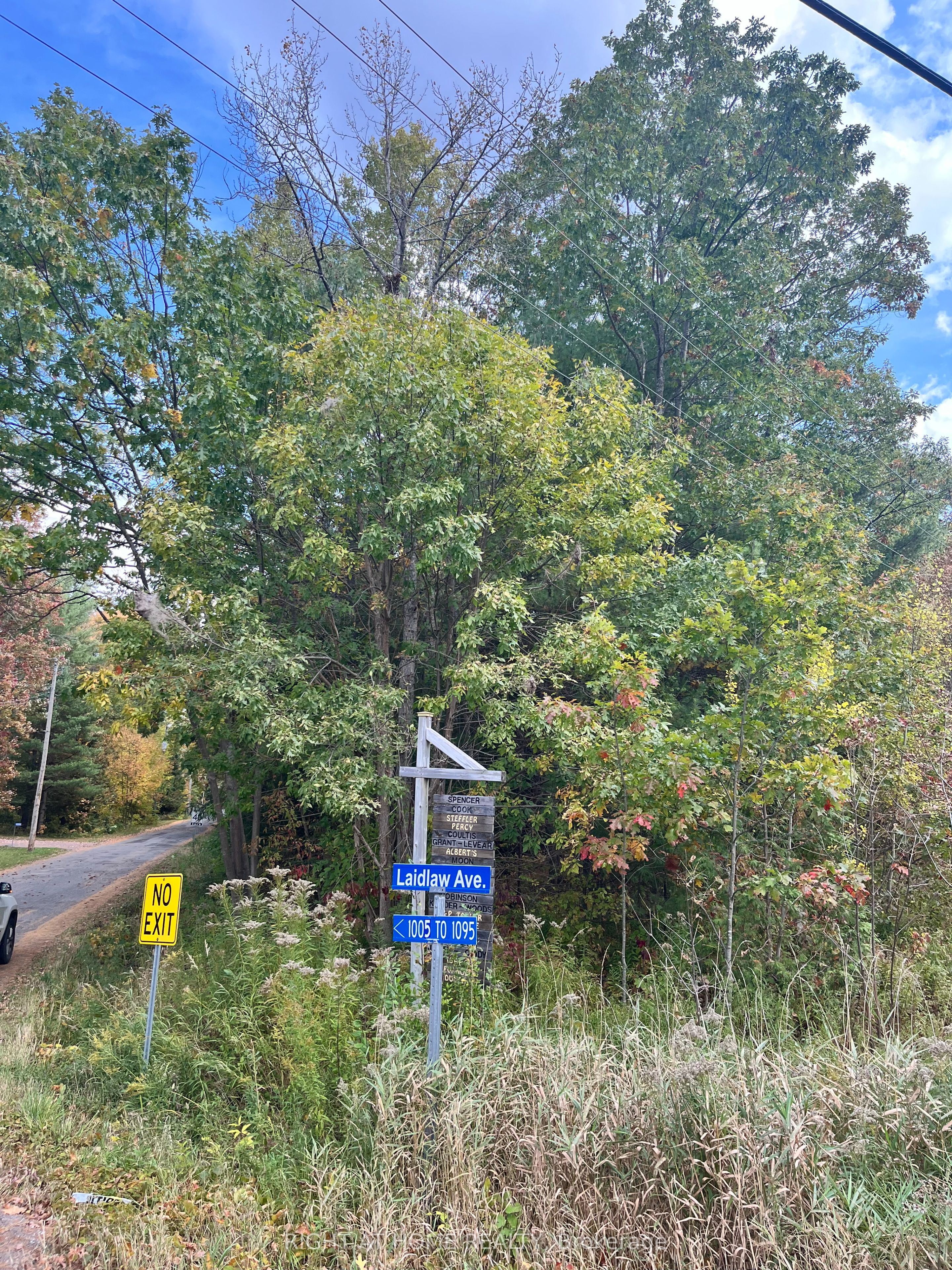 Lt 17 Laidlaw Avenue Property Photo 16