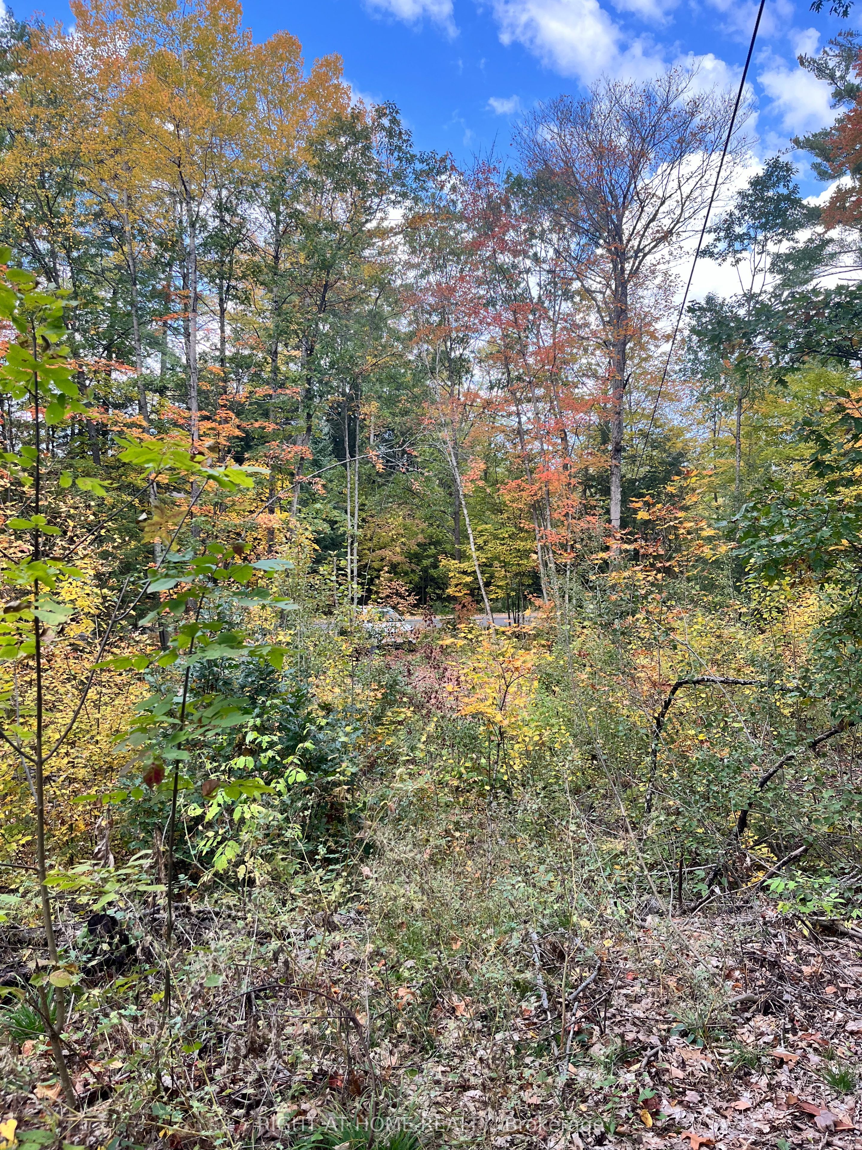 Lt 17 Laidlaw Avenue Property Photo 24