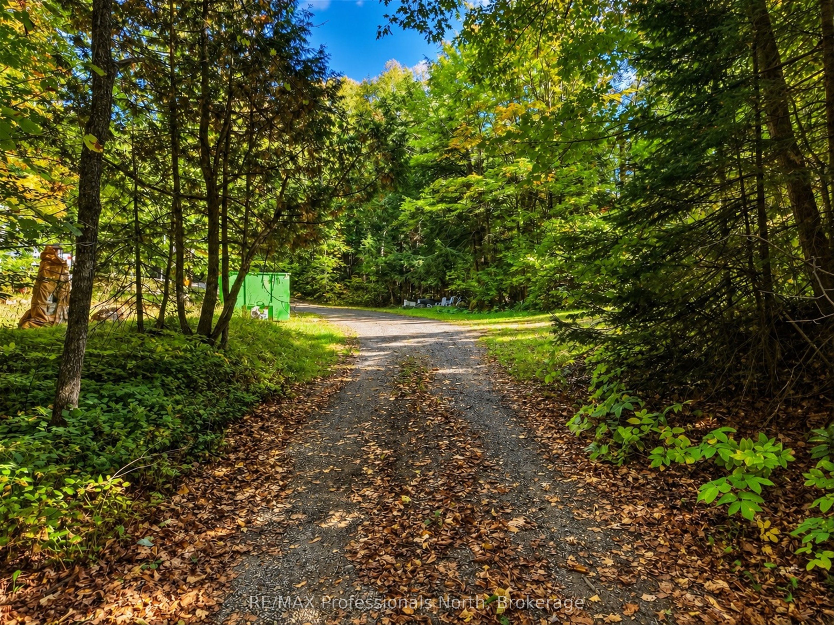 5110 Muskoka 117 Road Property Photo 3