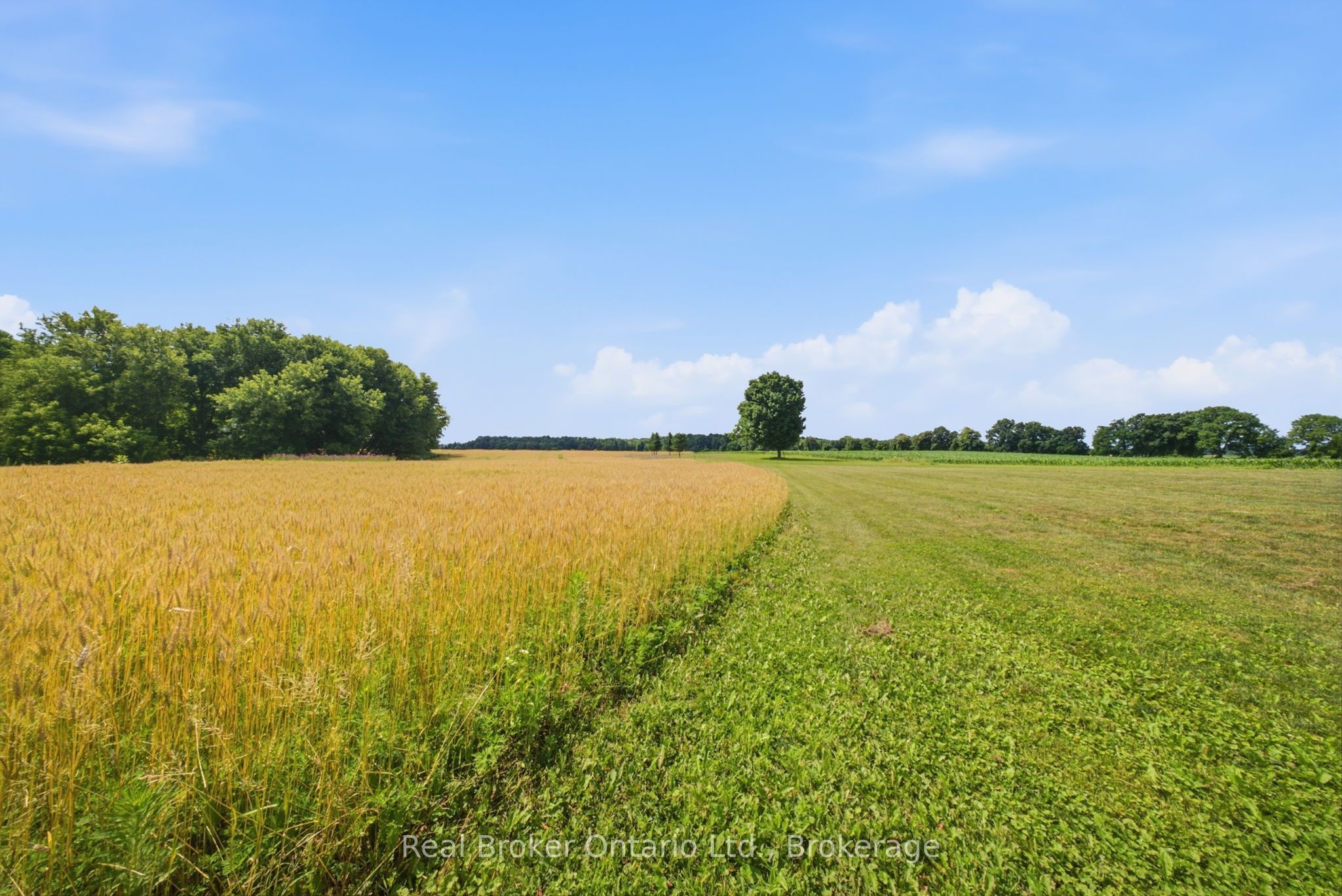 392 German School Road Property Photo 43