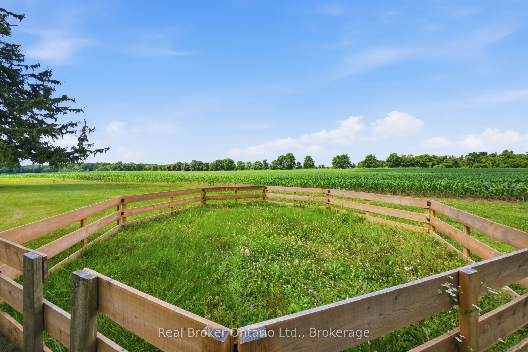 392 German School Road Property Photo 45