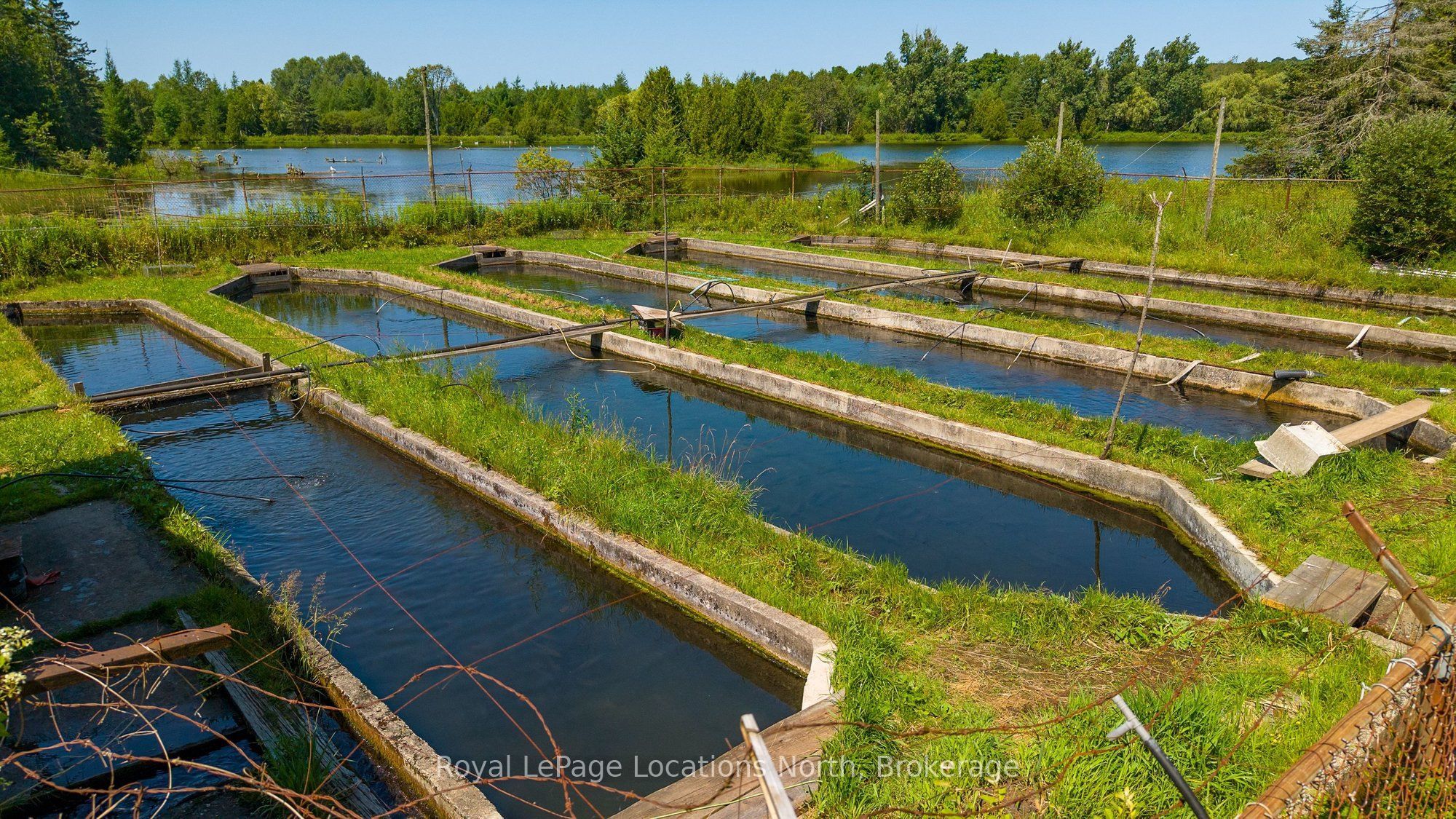 548037 3rd Side Road Property Photo 9