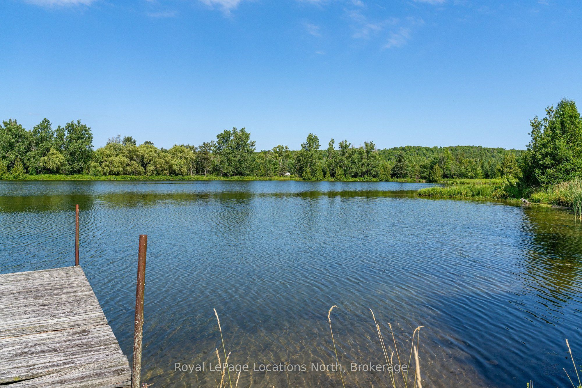 548037 3rd Side Road Property Photo 24