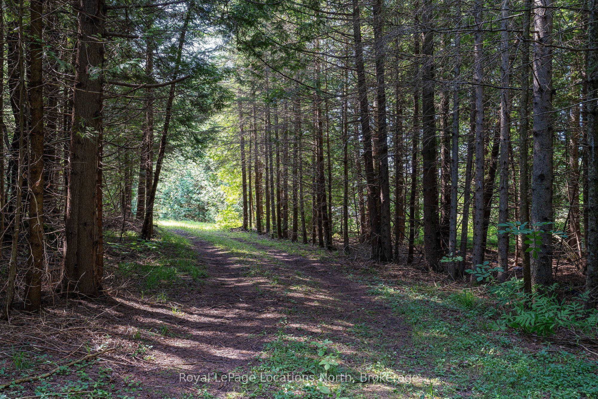 548037 3rd Side Road Property Photo 29