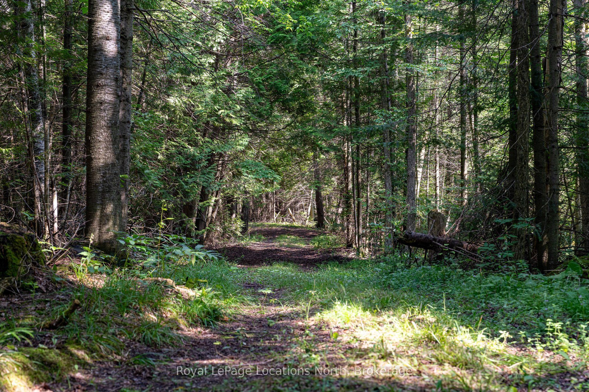 548037 3rd Side Road Property Photo 30