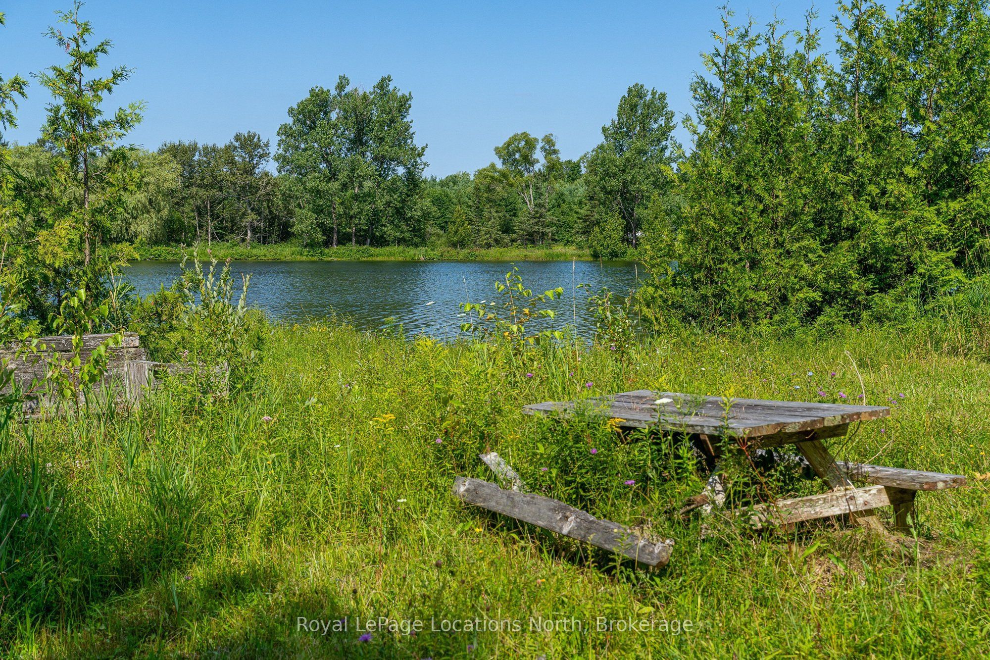 548037 3rd Side Road Property Photo 33