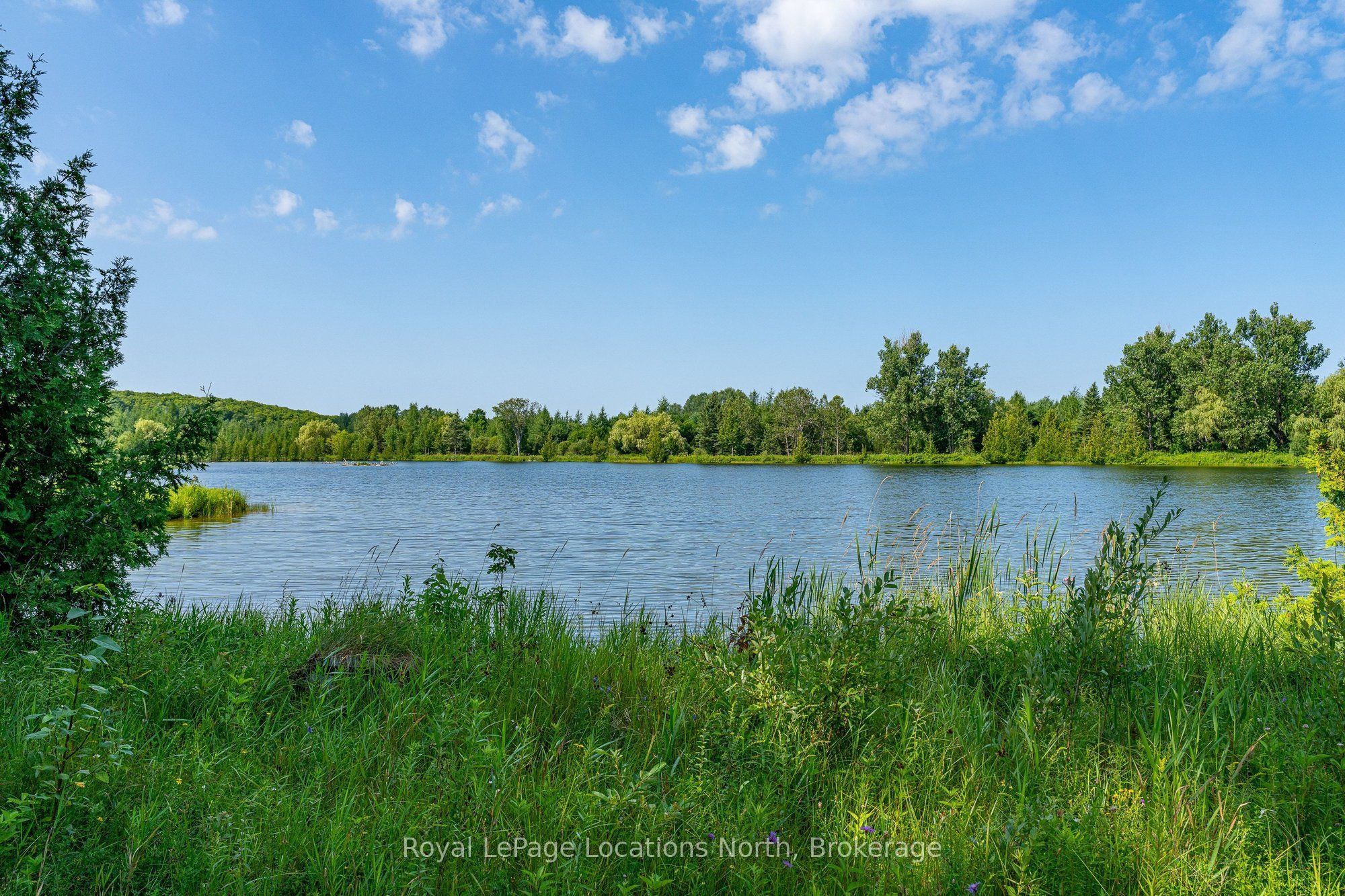 548037 3rd Side Road Property Photo 34
