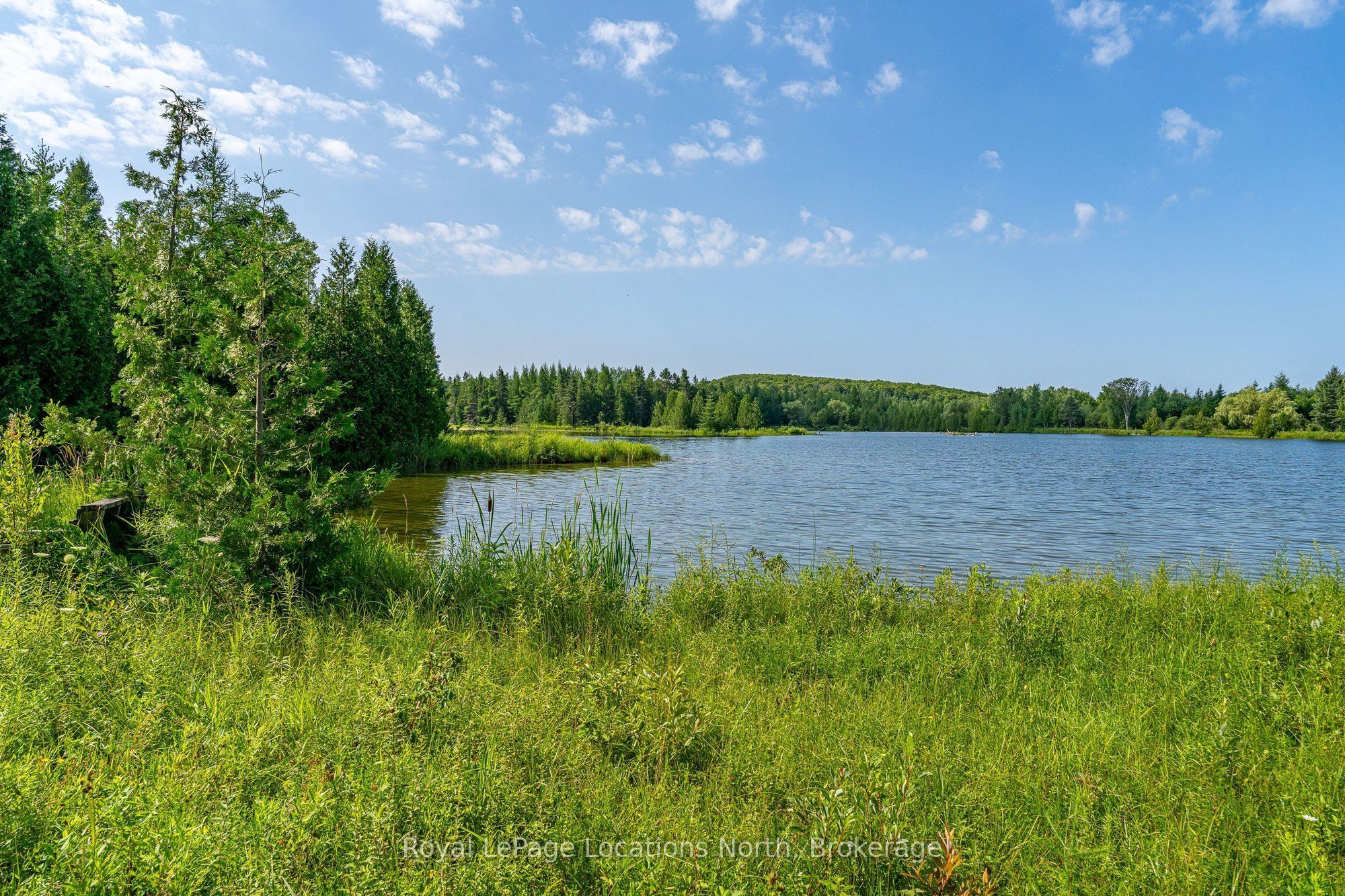 548037 3rd Side Road Property Photo 35