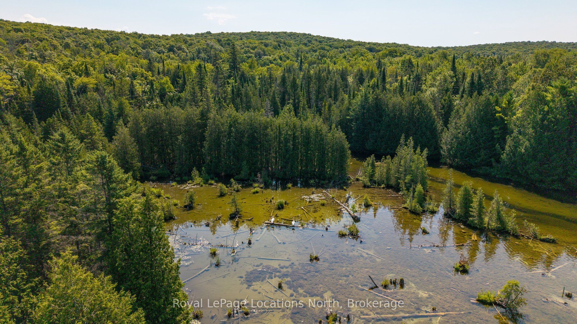 548037 3rd Side Road Property Photo 44