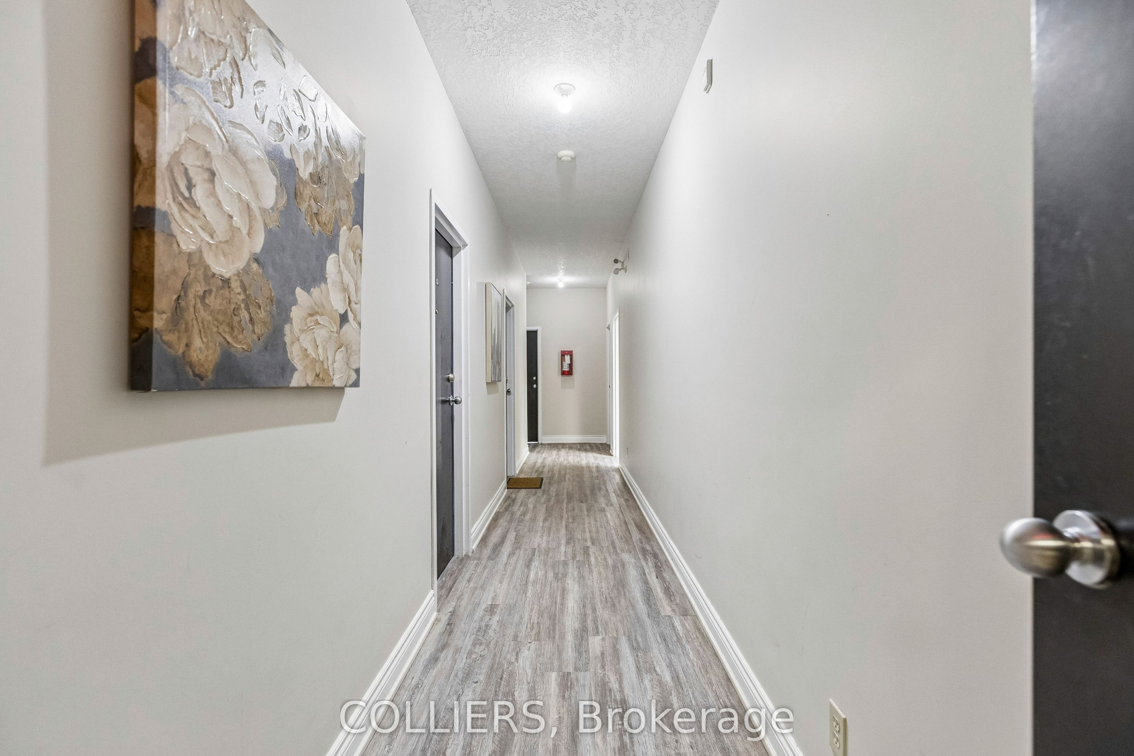 30 Dickson Street Property Photo 4