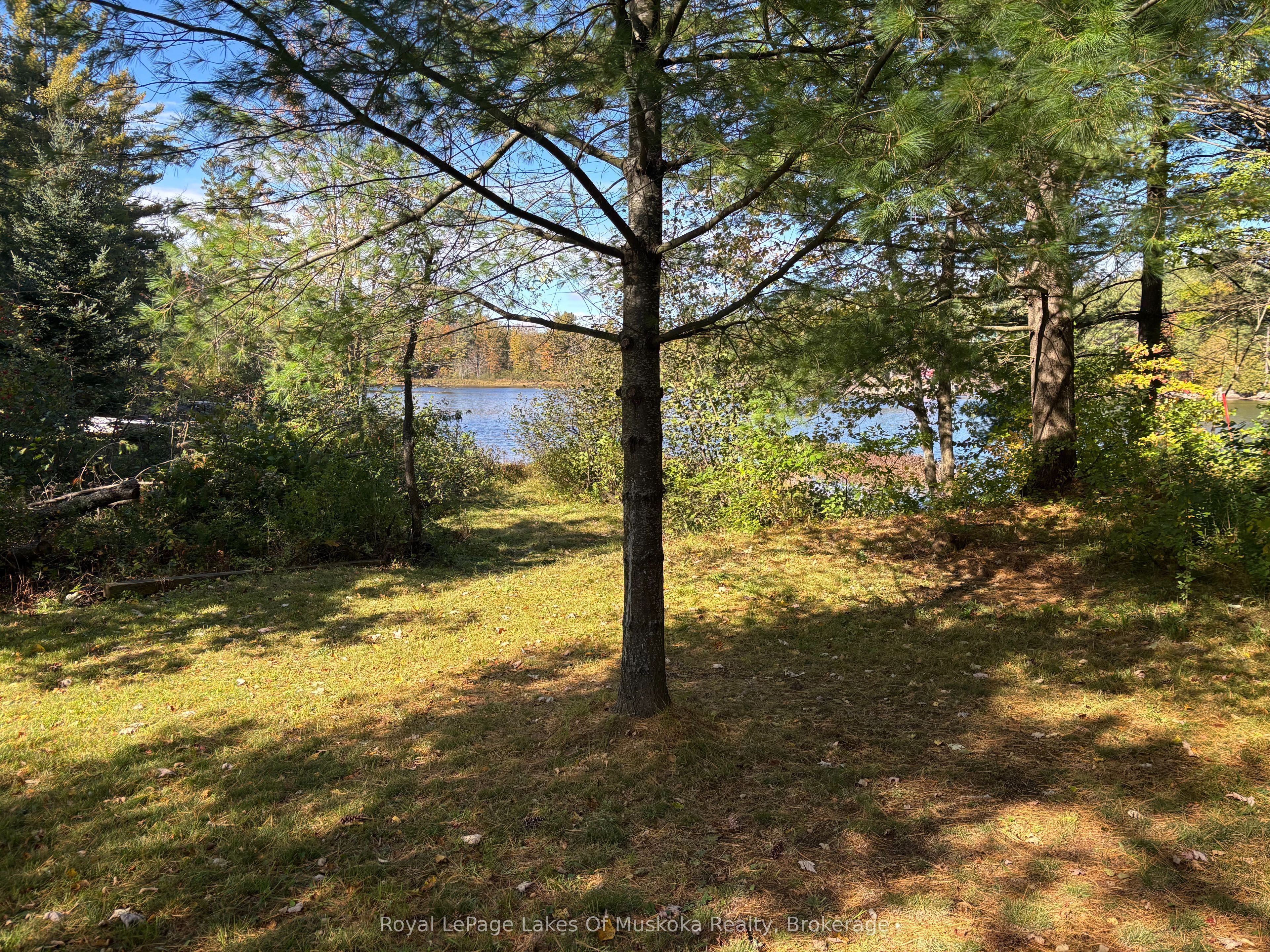 1345 Highway 118 East Property Photo 1