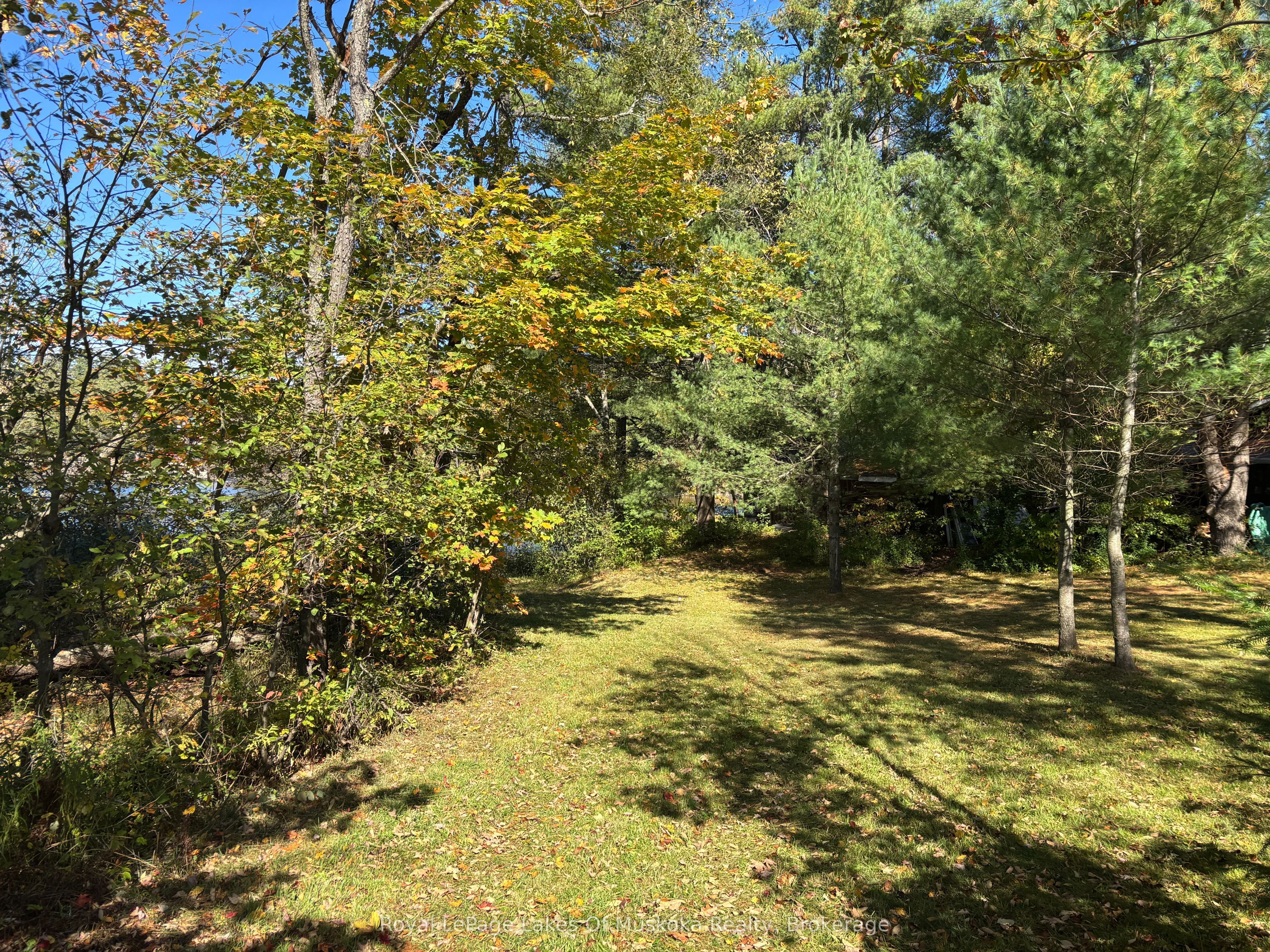 1345 Highway 118 East Property Photo 3