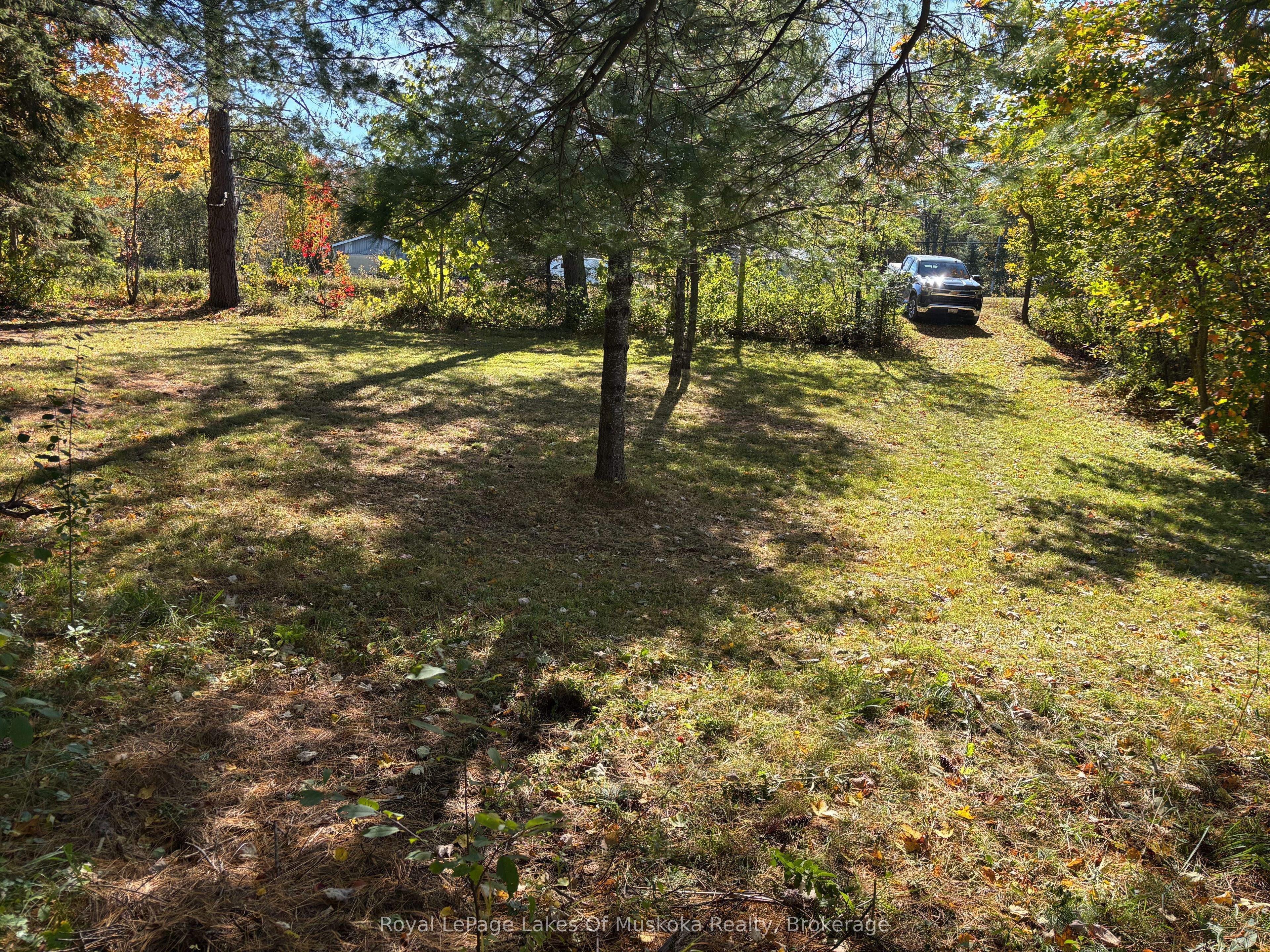 1345 Highway 118 East Property Photo 4