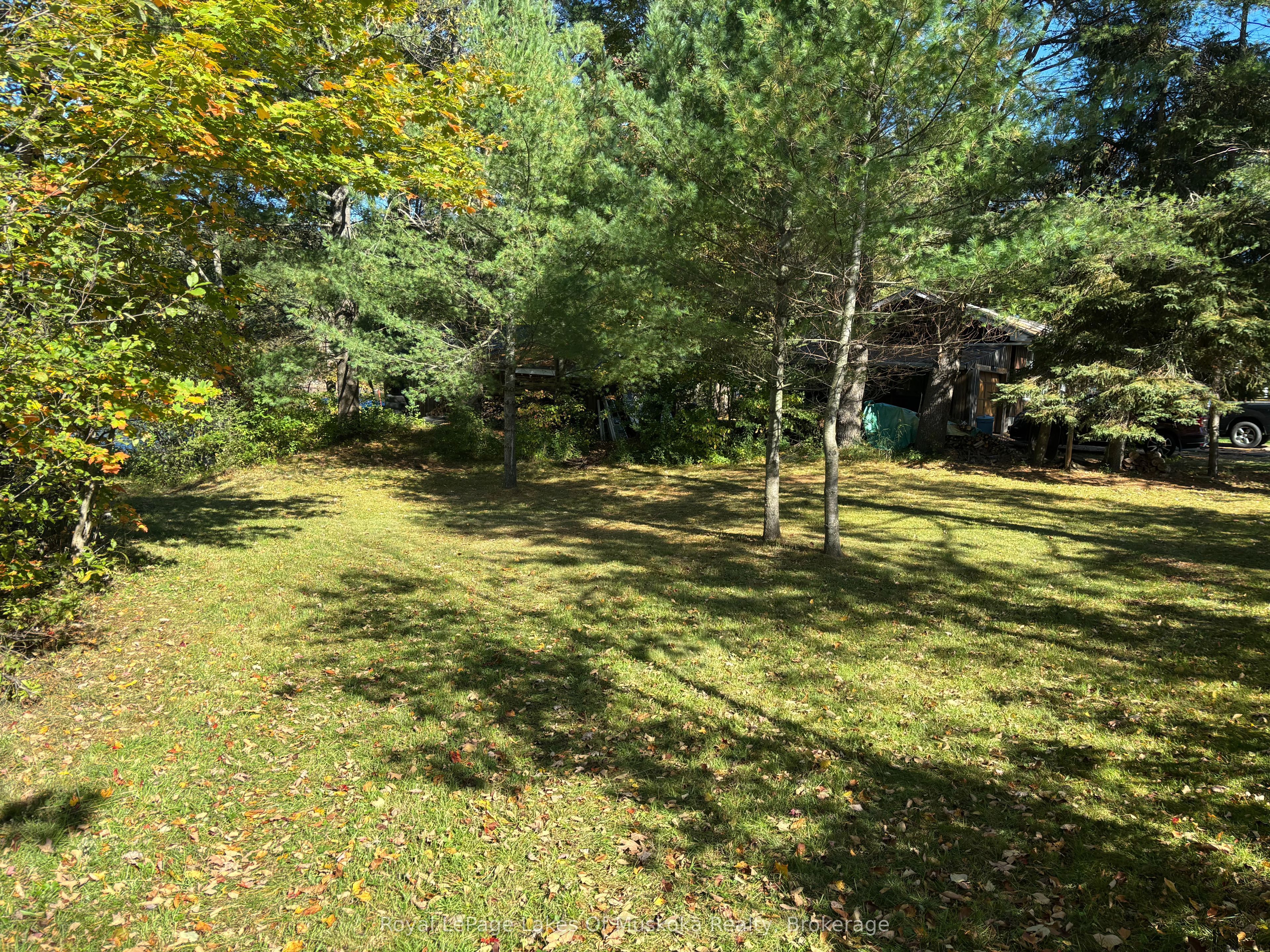 1345 Highway 118 East Property Photo 5