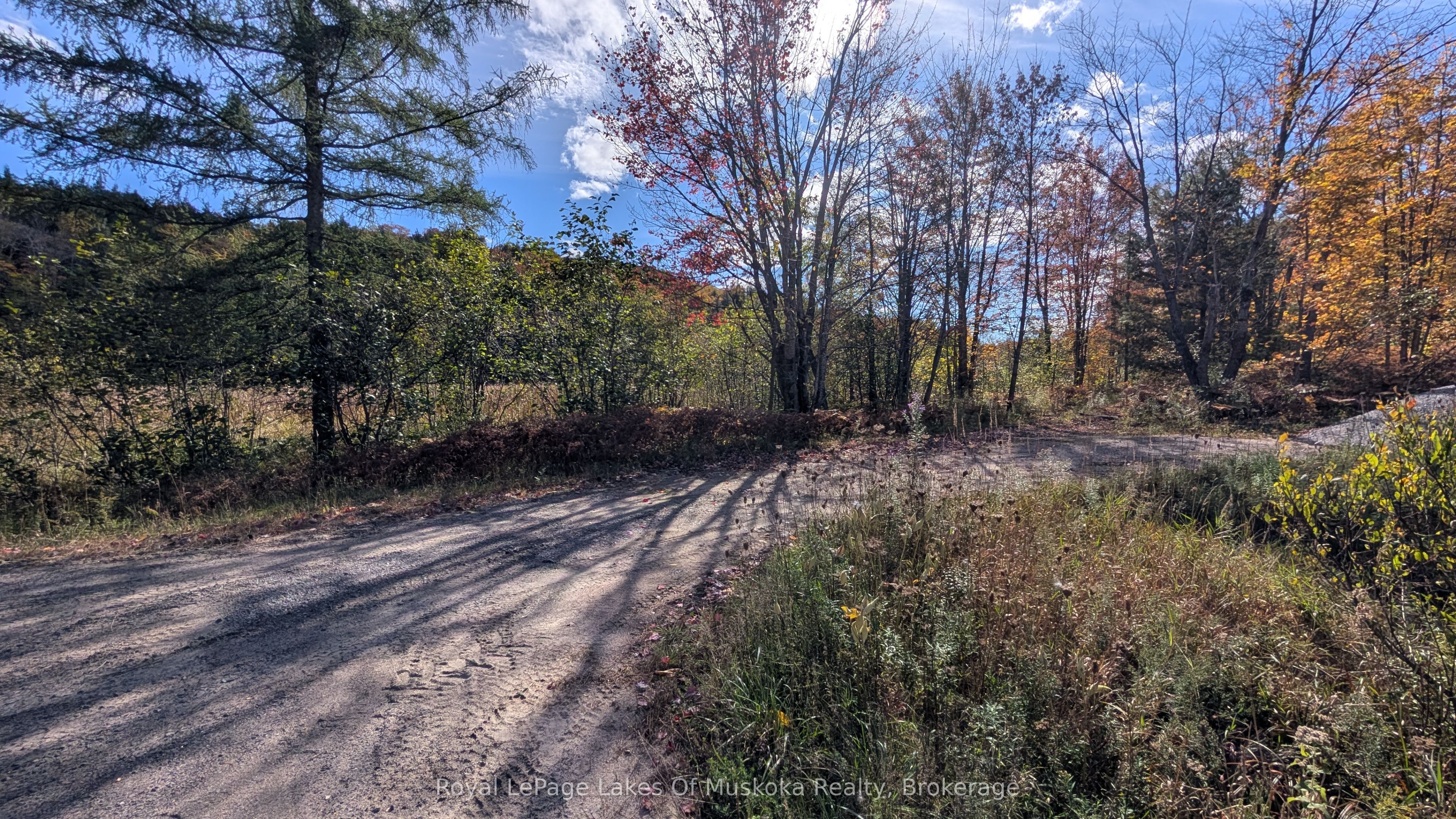 Pt Lt 14 Con B Highway 141 Highway Property Photo 11