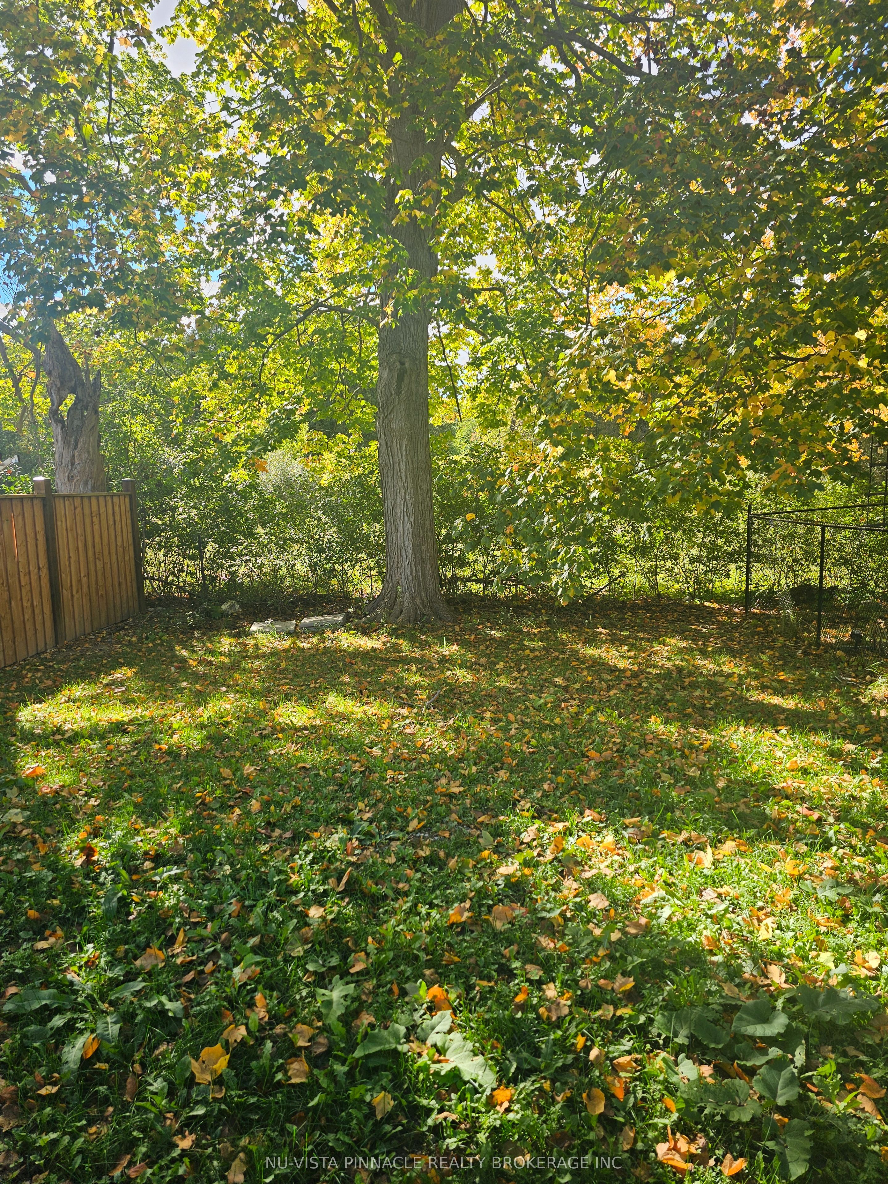 2039 Cedarpark Drive Property Photo 10