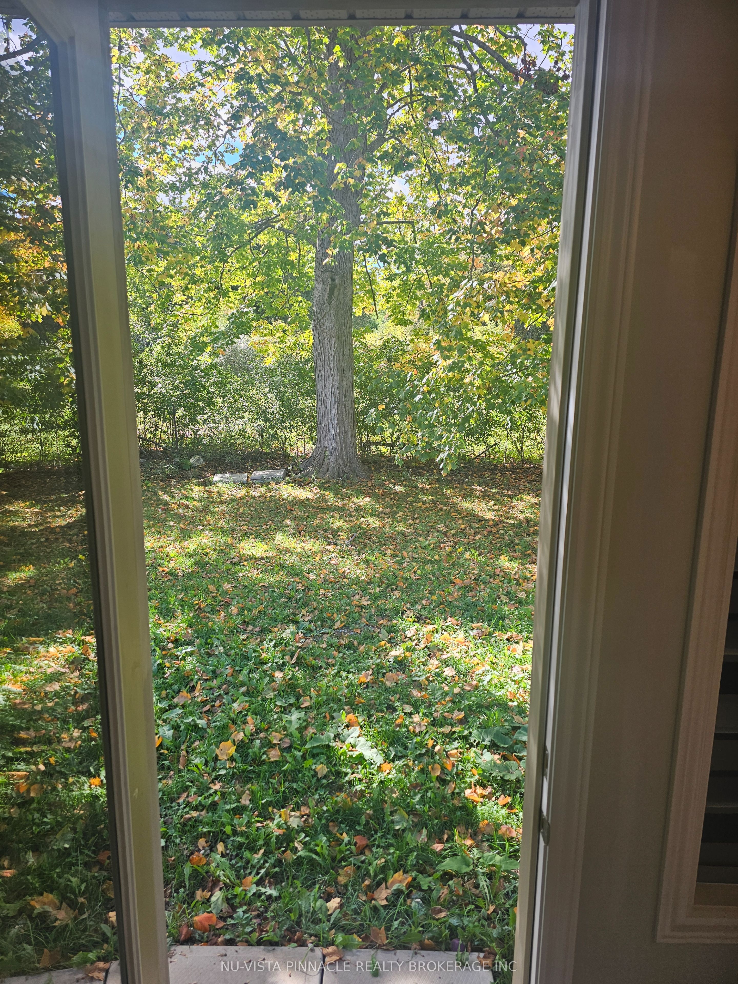 2039 Cedarpark Drive Property Photo 11