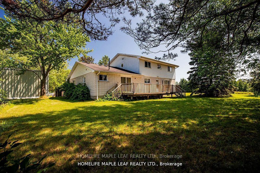 8554 Hwy 7 Road Property Photo 39