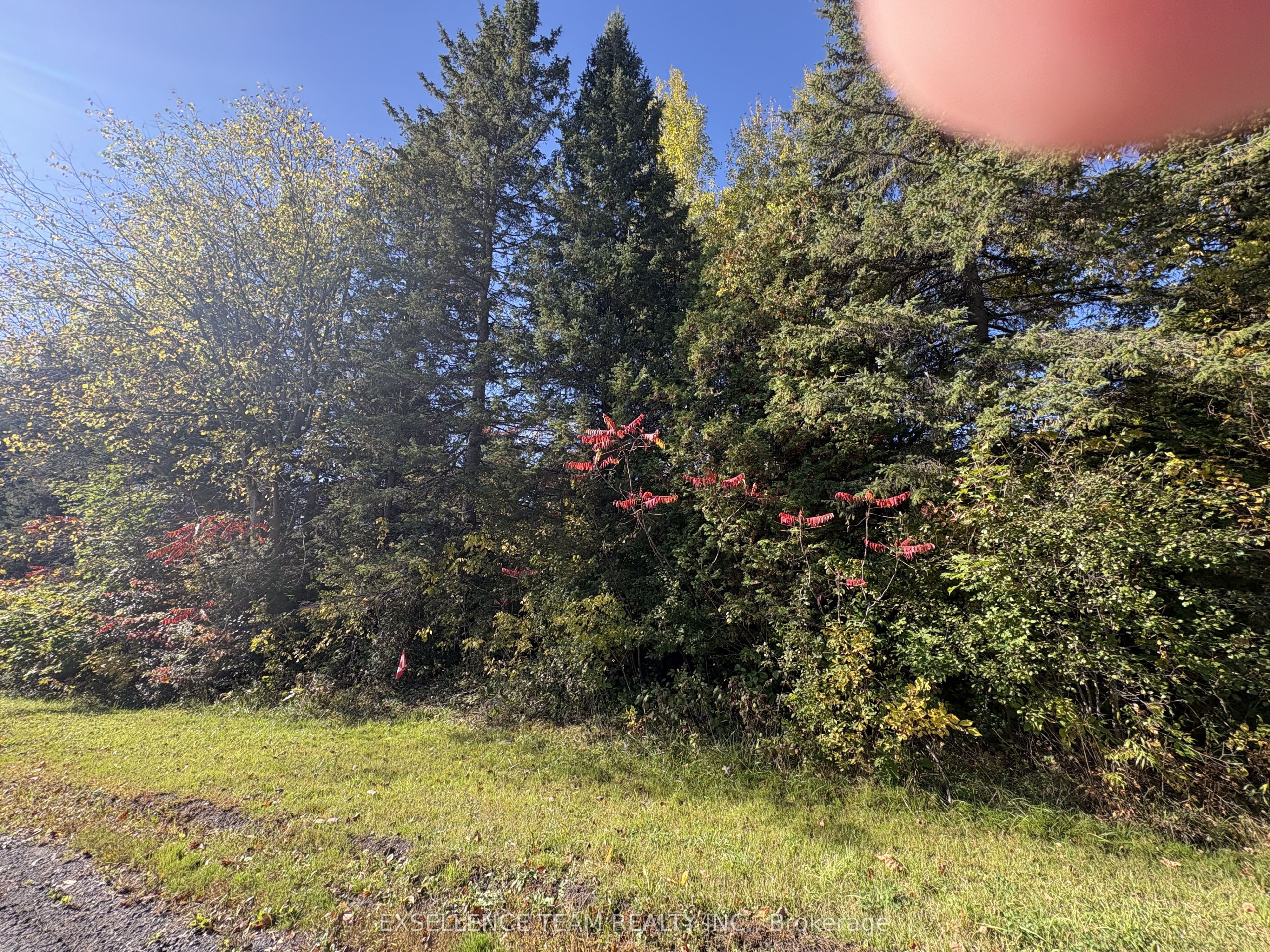 N/a Glen Roy Rd Road Property Photo 1