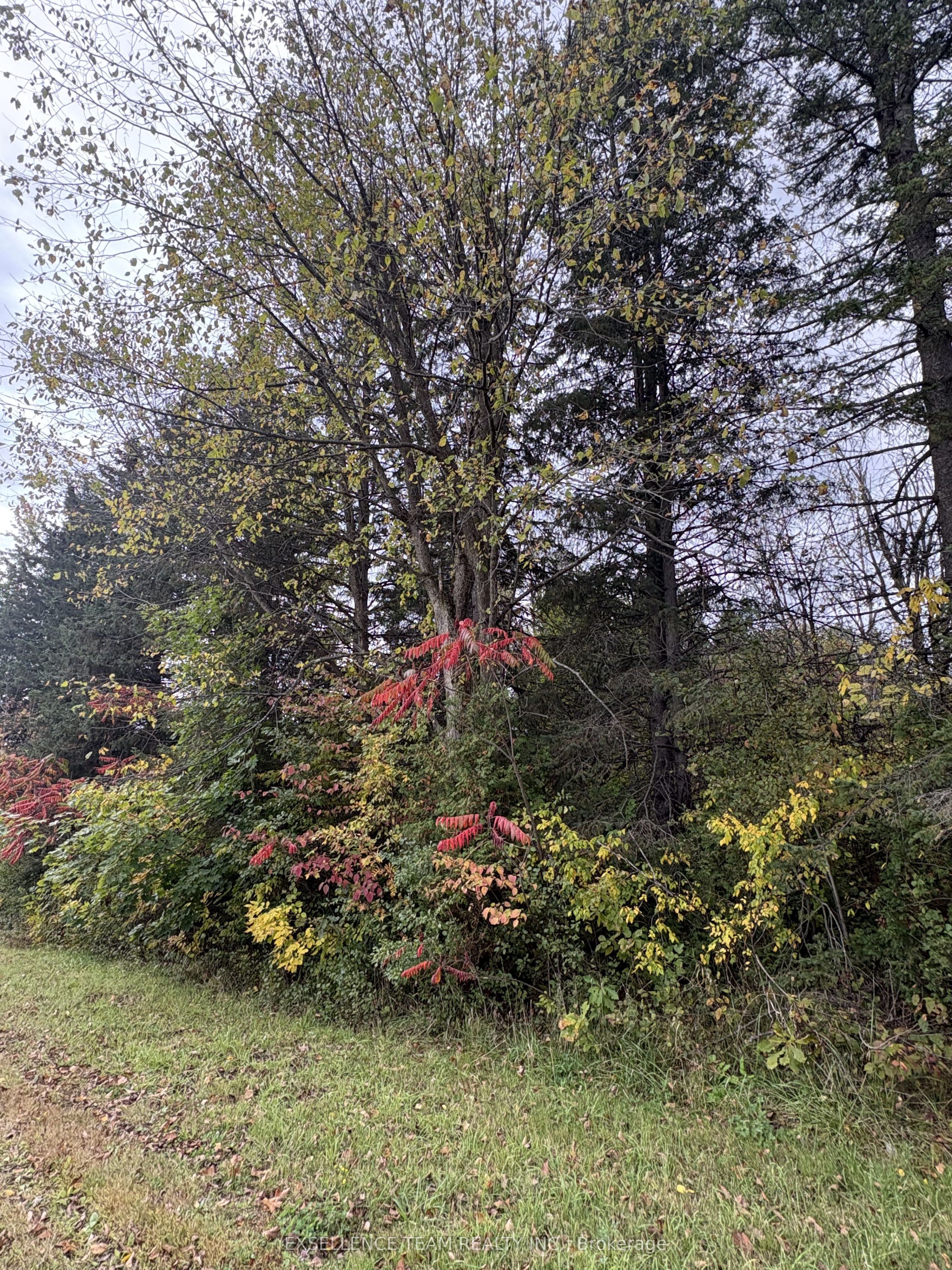 N/a Glen Roy Rd Road Property Photo 1