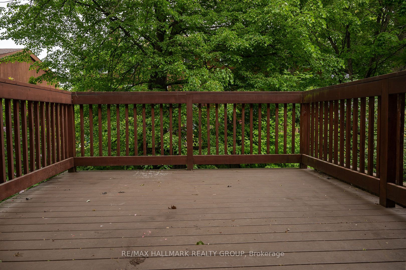 15 Birchdale Avenue Property Photo 4