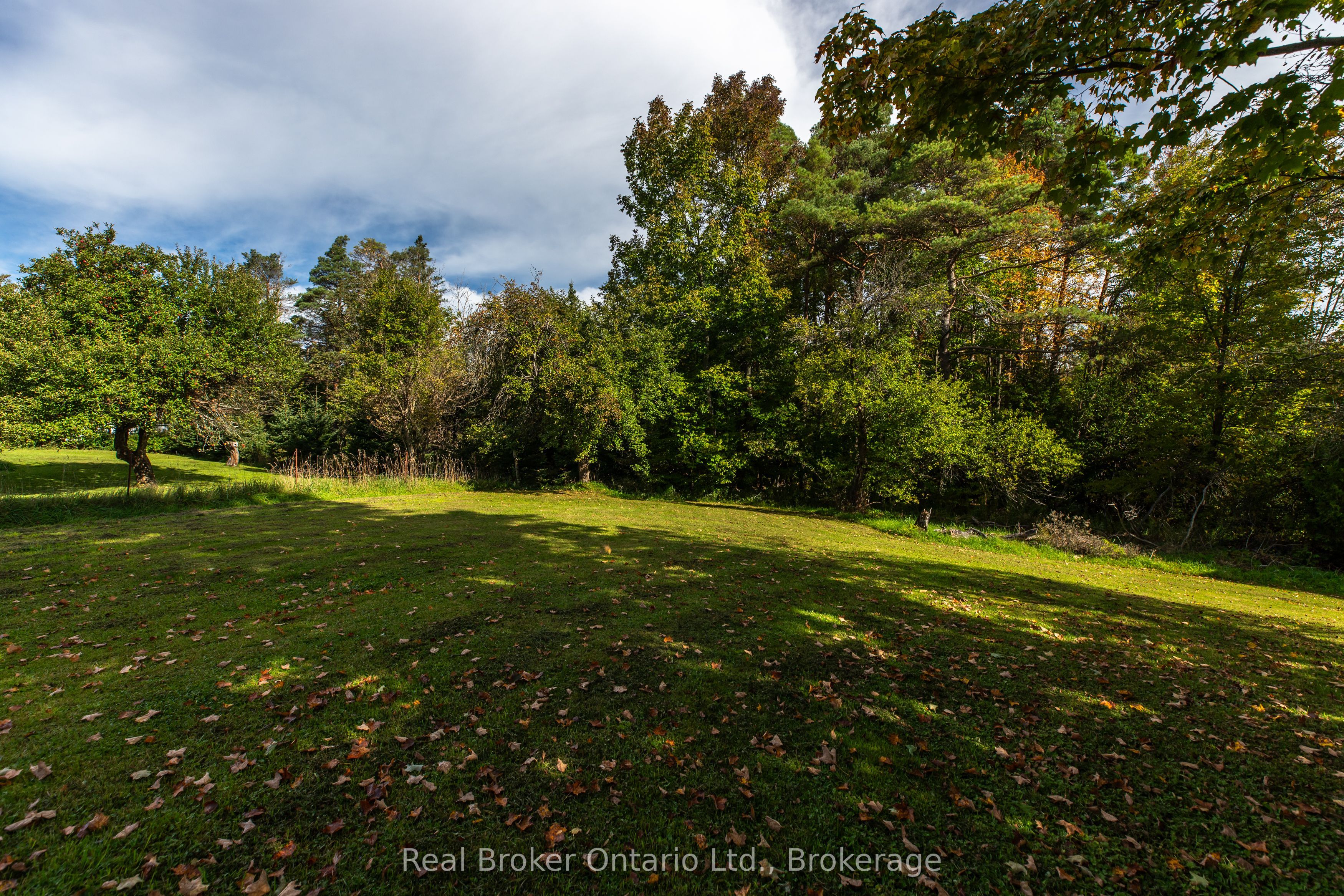 776813 Highway 10 Property Photo 24