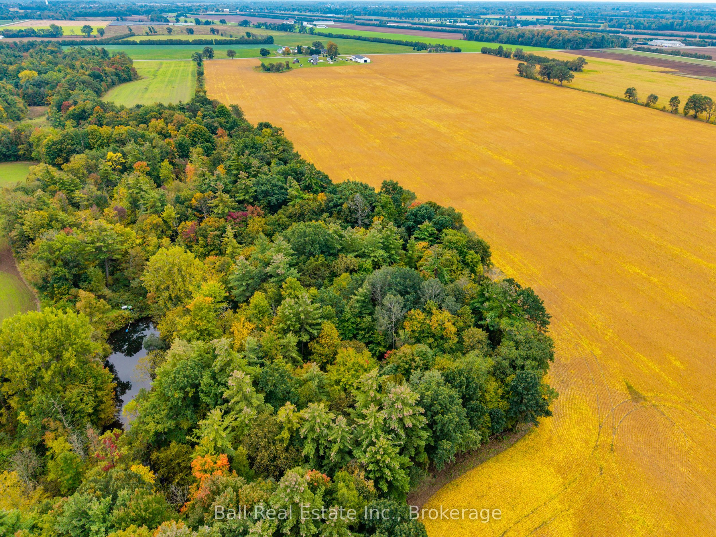 126183 Mall Road Property Photo 5