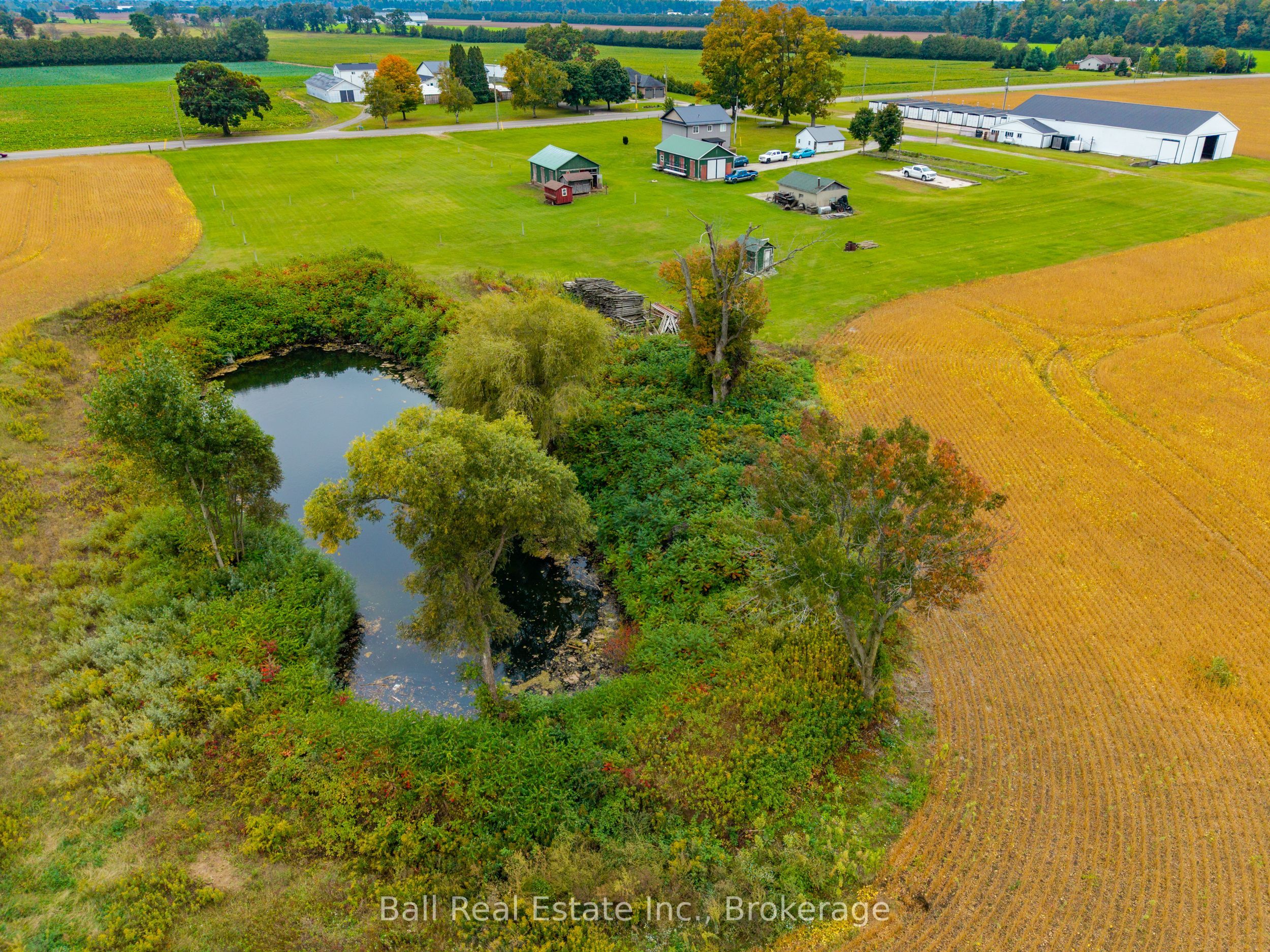 126183 Mall Road Property Photo 6