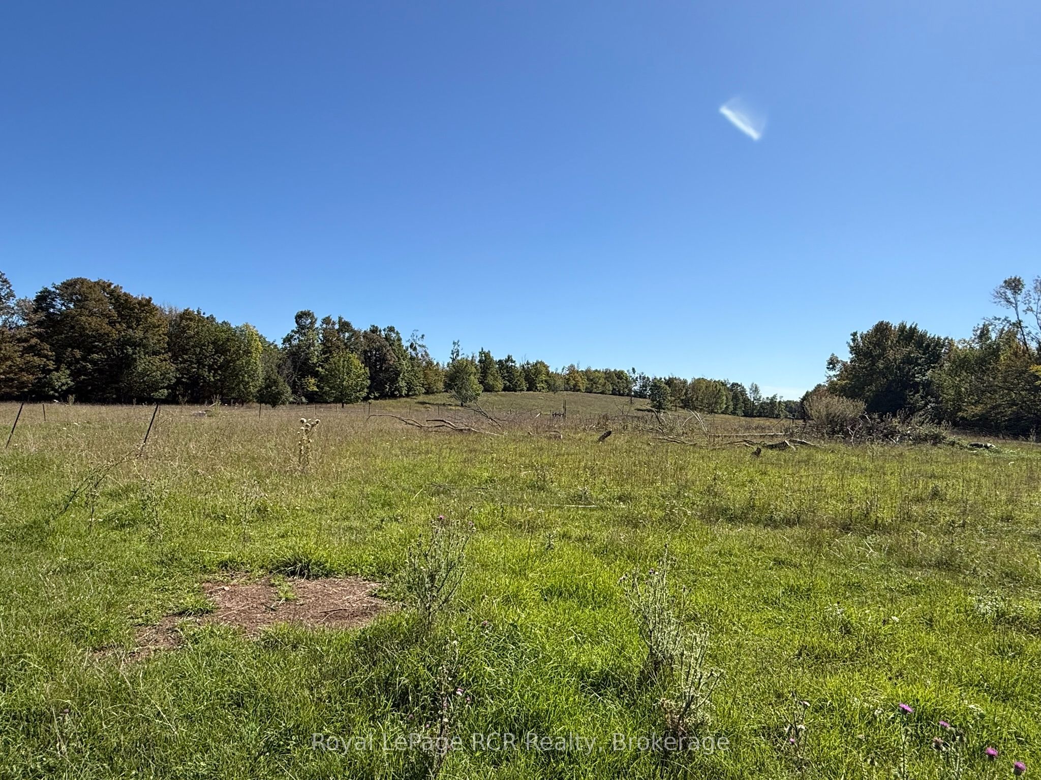 204470 Highway 26 Property Photo 35