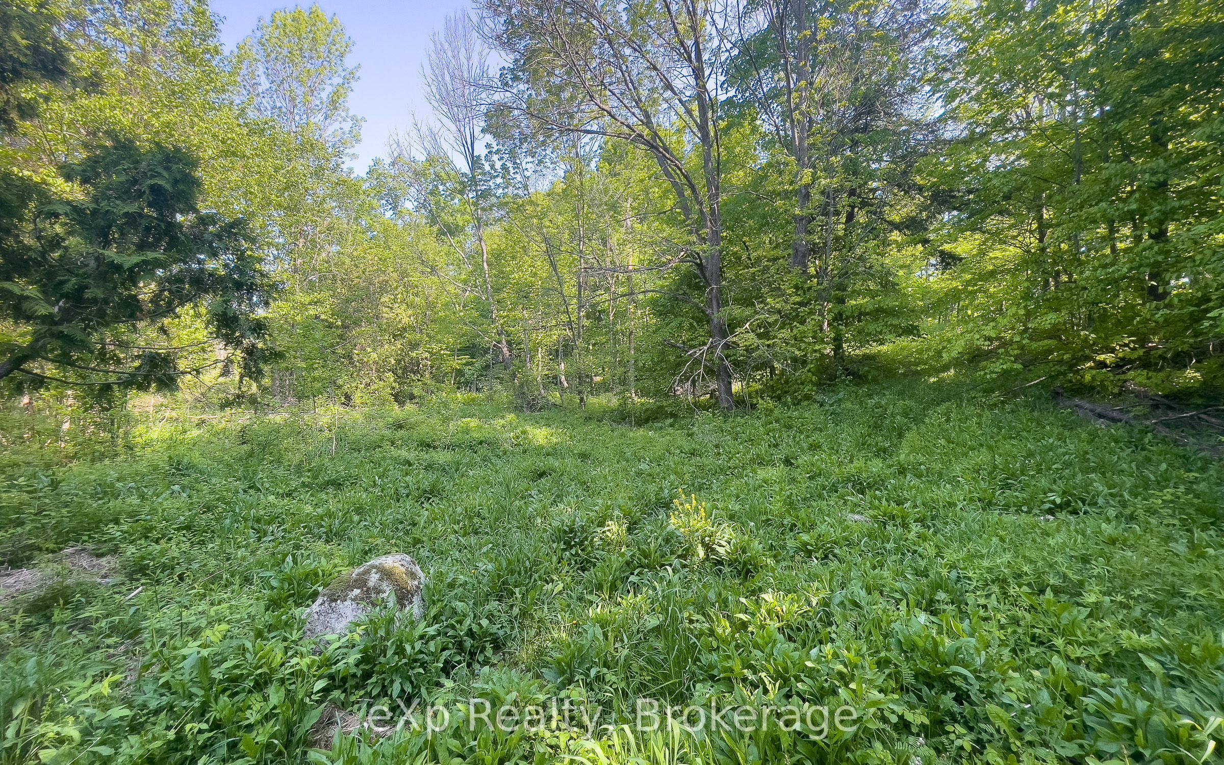 E 1/2 Lt 29-30 Con 4; Sideroad 30 Property Photo 35