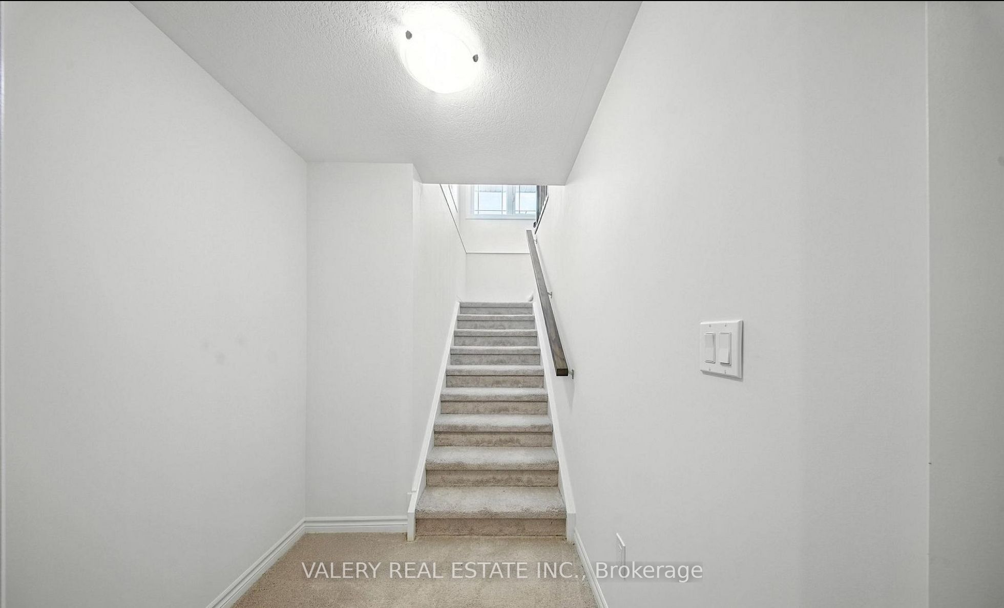 142 Ellen Street Property Photo 21