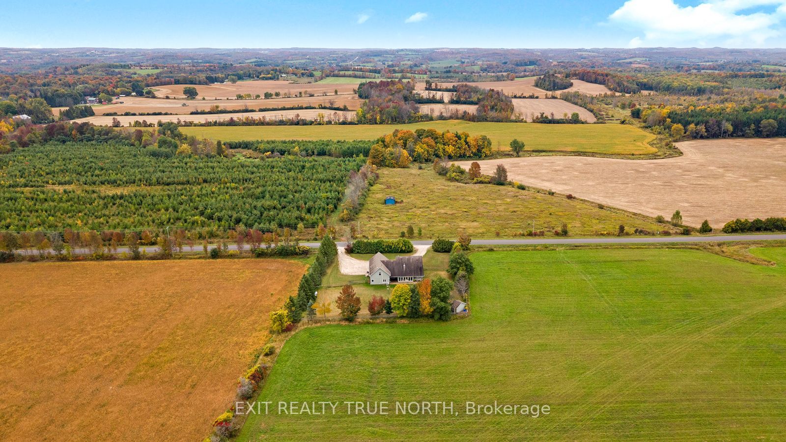 145489 16 Side Road Property Photo 8