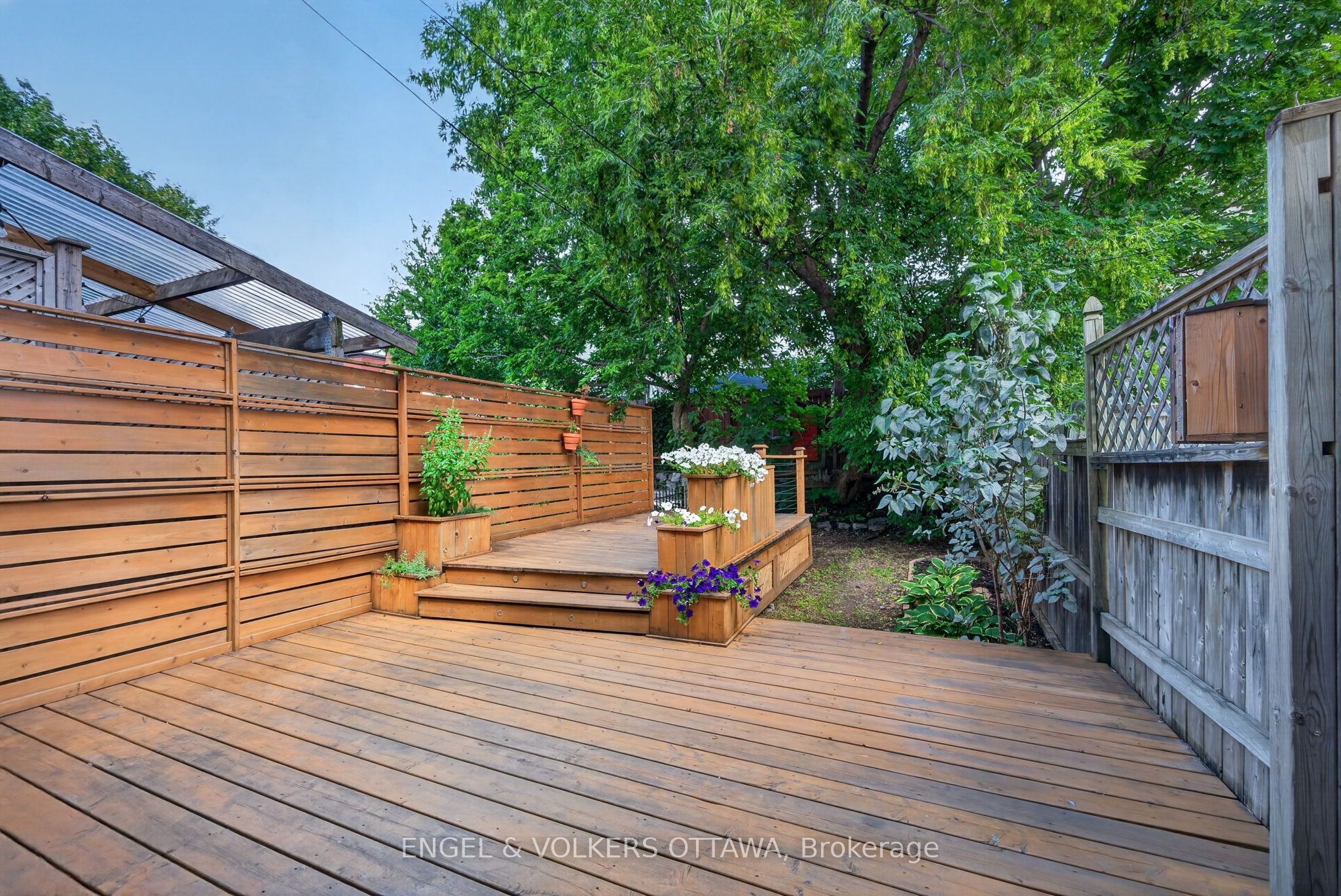 75 Eccles Street Property Photo 4