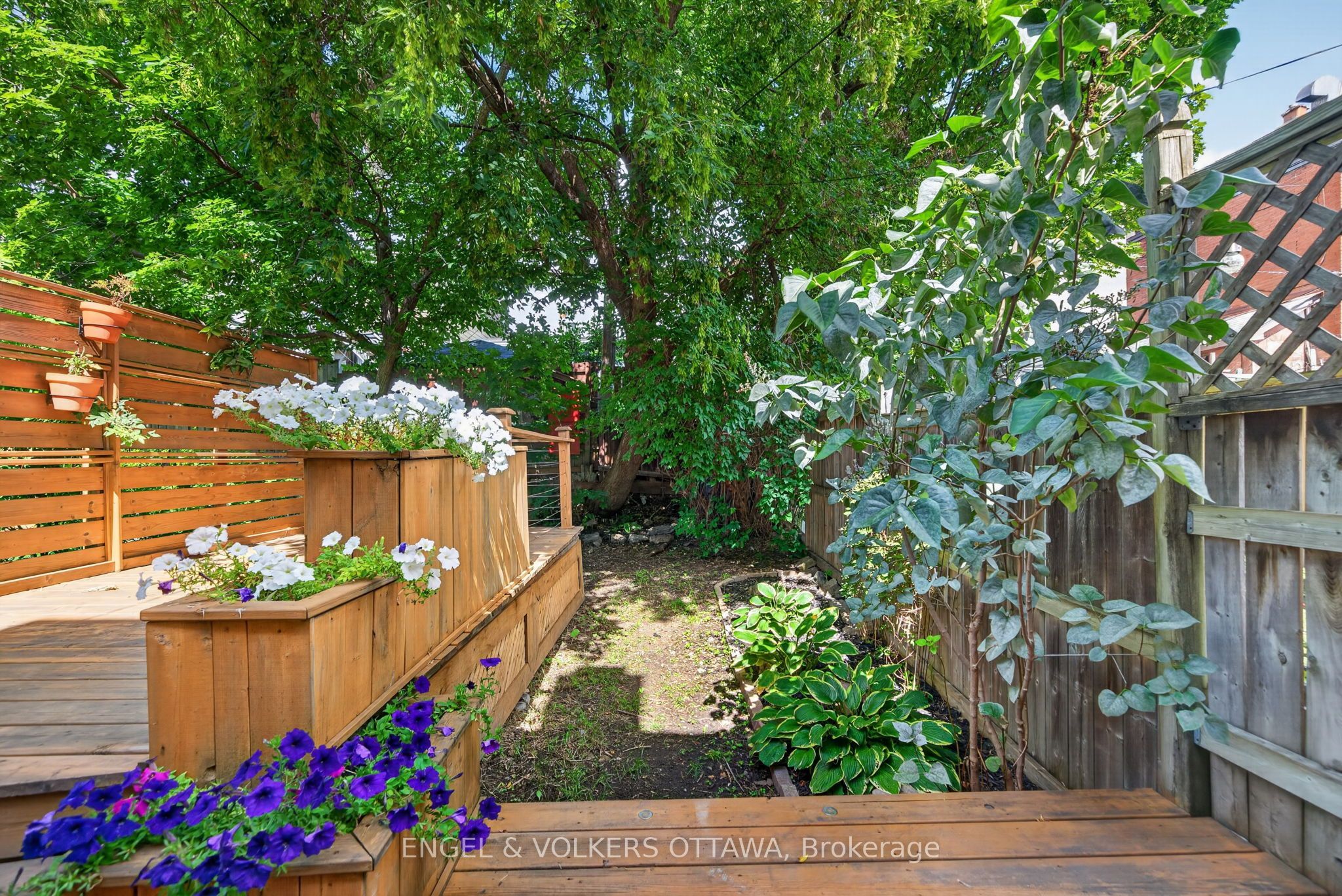 75 Eccles Street Property Photo 5