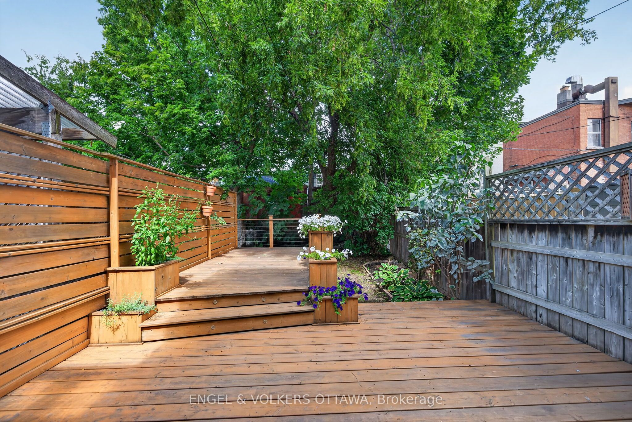 75 Eccles Street Property Photo 34