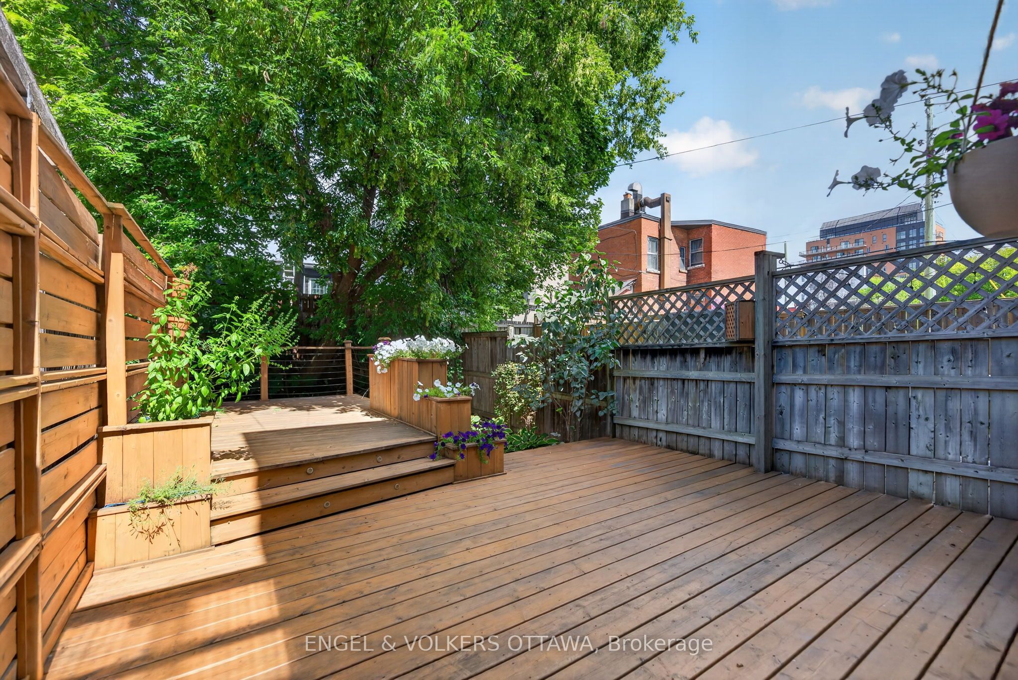 75 Eccles Street Property Photo 36