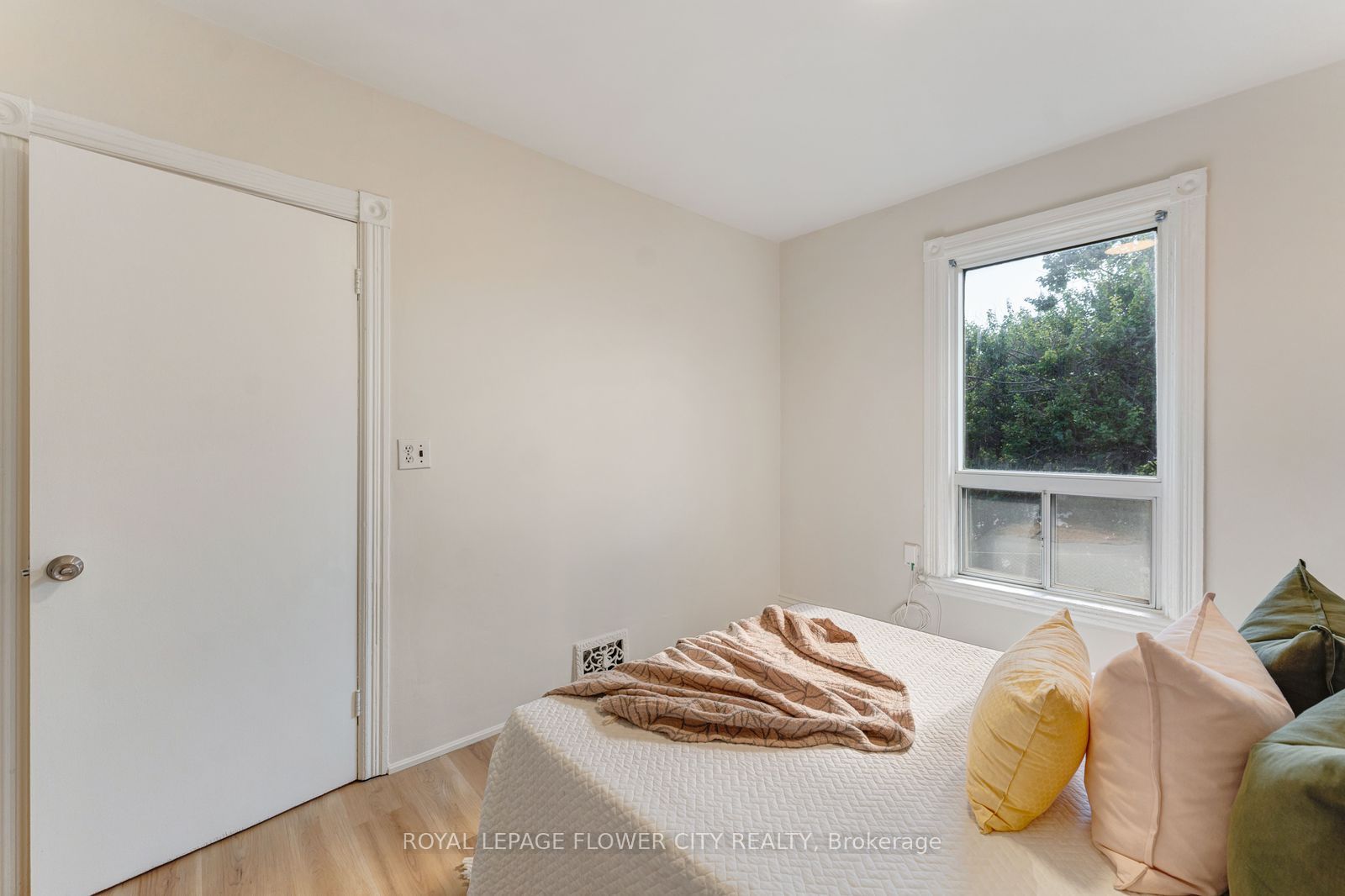 11 Mcneil Street Property Photo 22