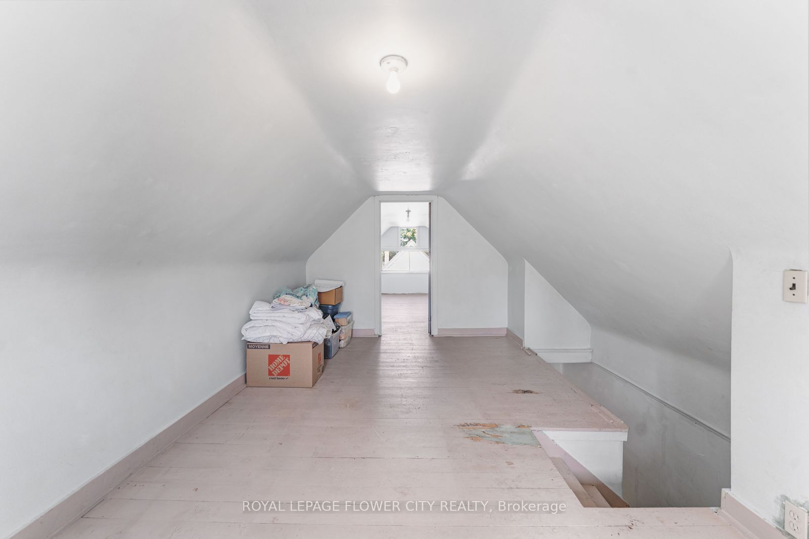 11 Mcneil Street Property Photo 26