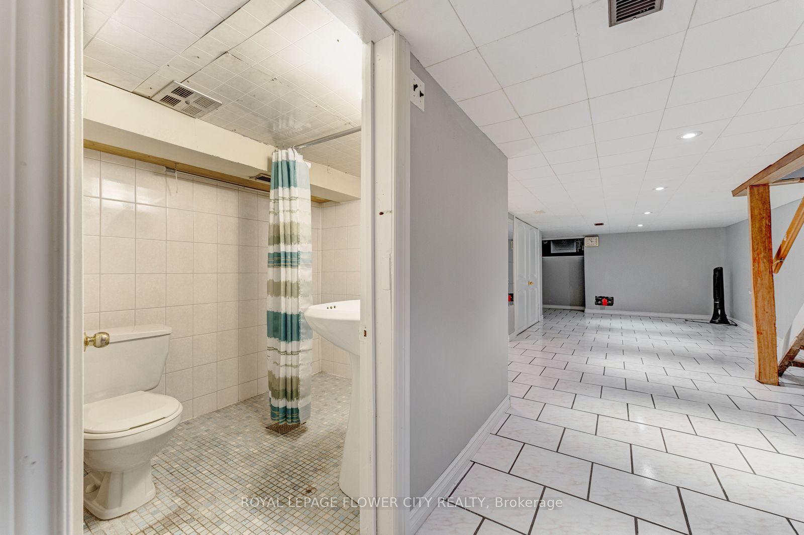 11 Mcneil Street Property Photo 40