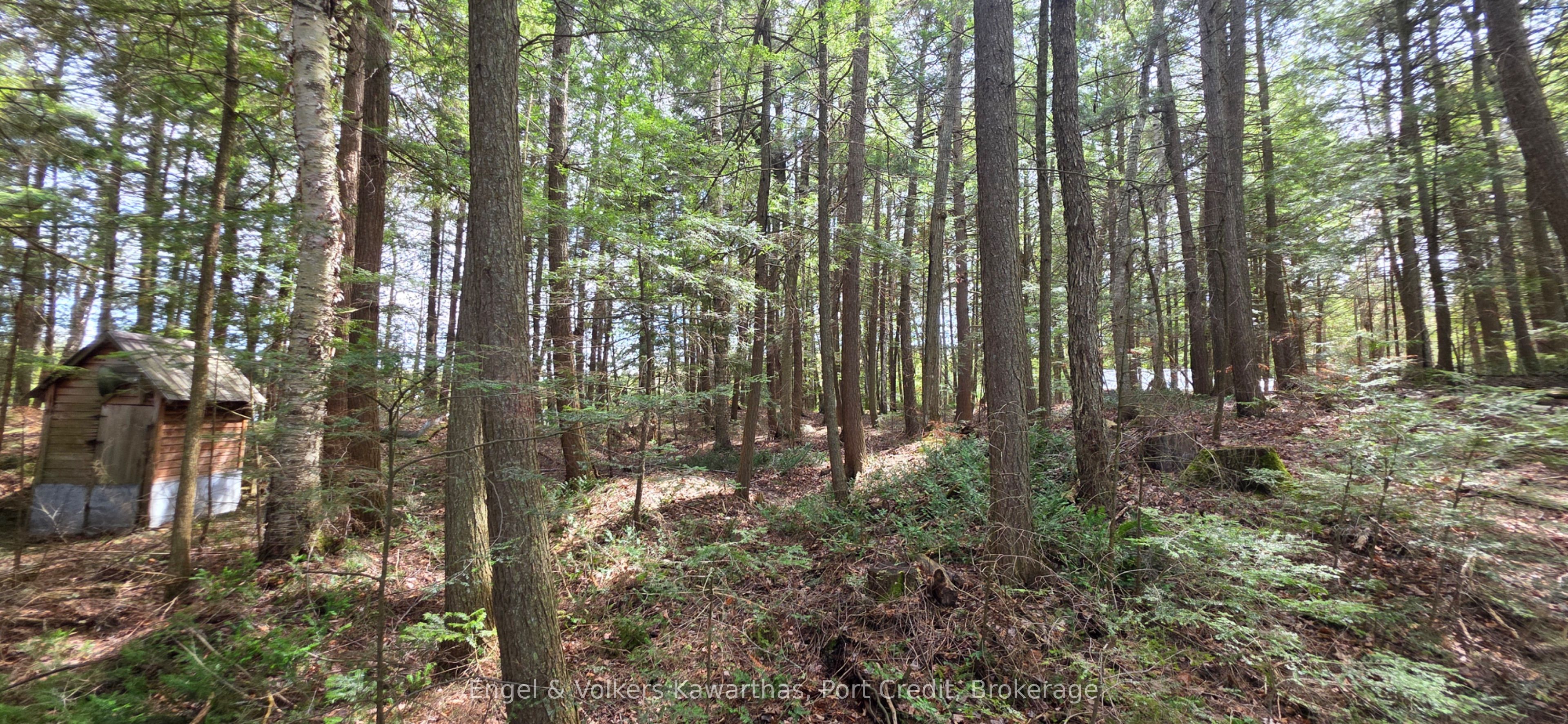 1014 Fire Route 74 Property Photo 39
