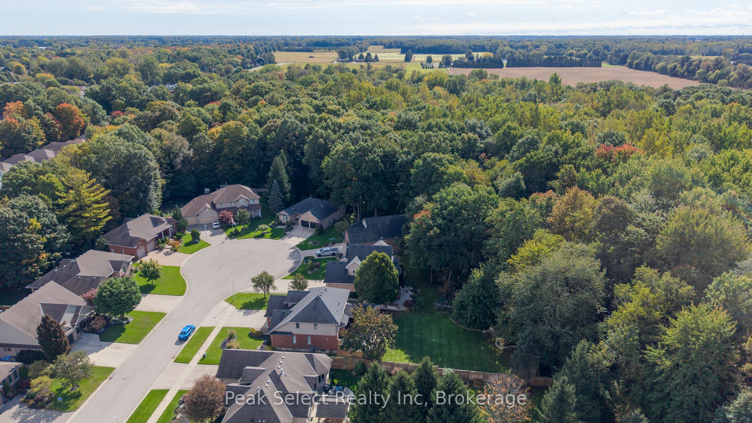 88 Saxonville Court Property Photo 3